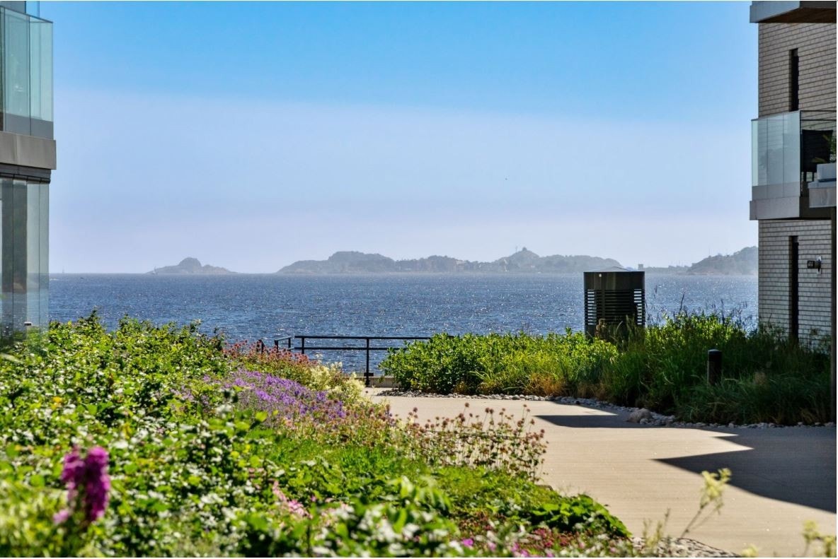 Områdebilde Sanden miljø.JPG Galleribilde