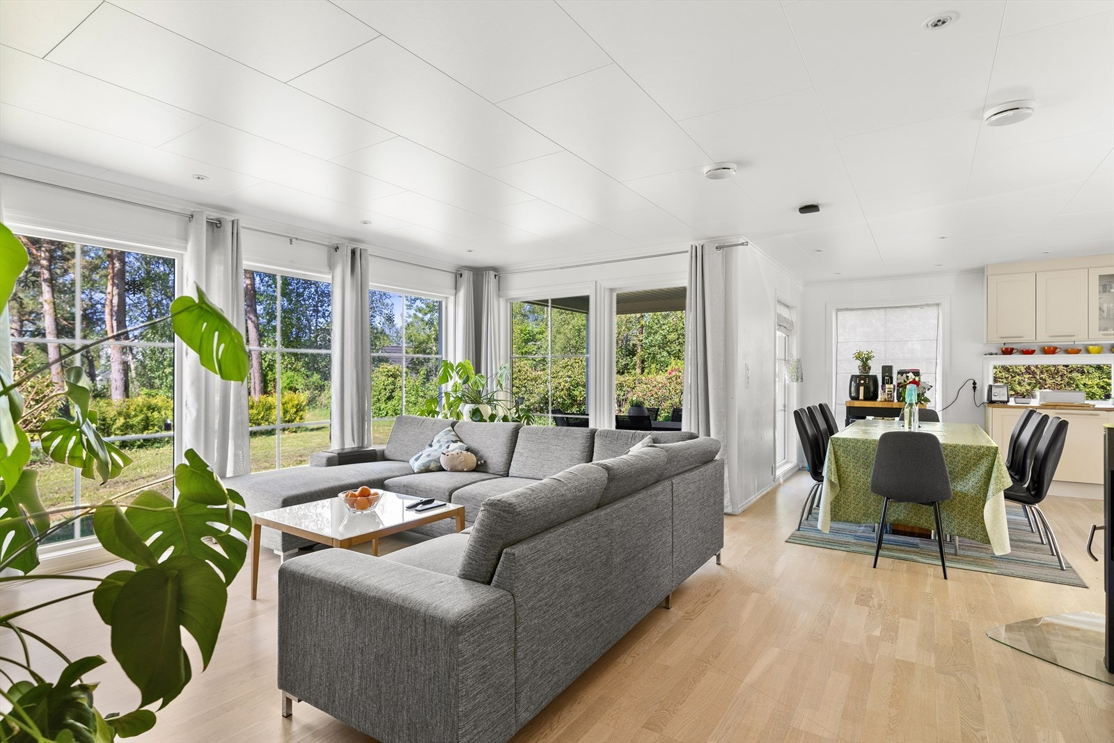 Stor og sosial stue/kjøkken med altandør til uteområdet Galleribilde