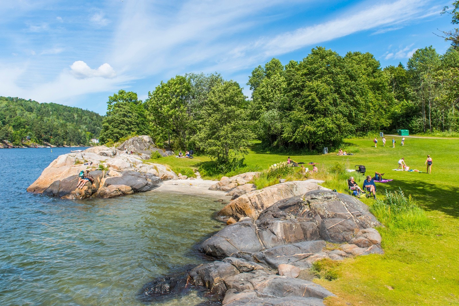 Fra friområdet på Breivoll Galleribilde