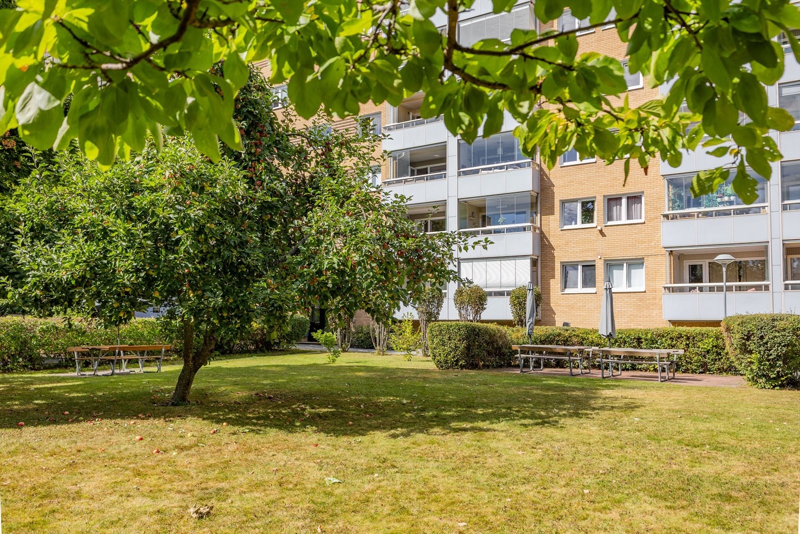 Flotte fellesarealer med frukttrær og et godt mangfold av beplantning. Galleribilde