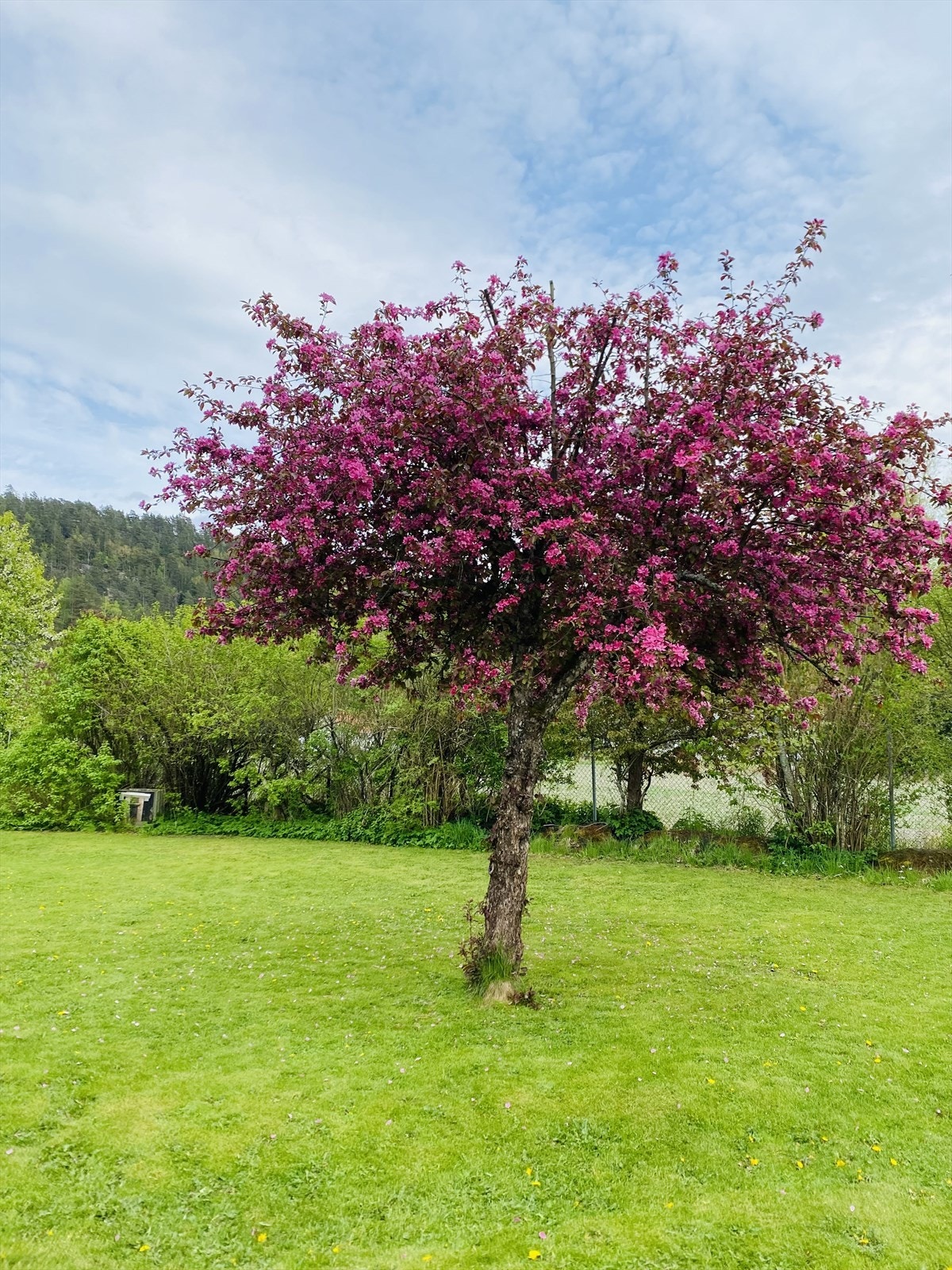 Privat bilde Galleribilde