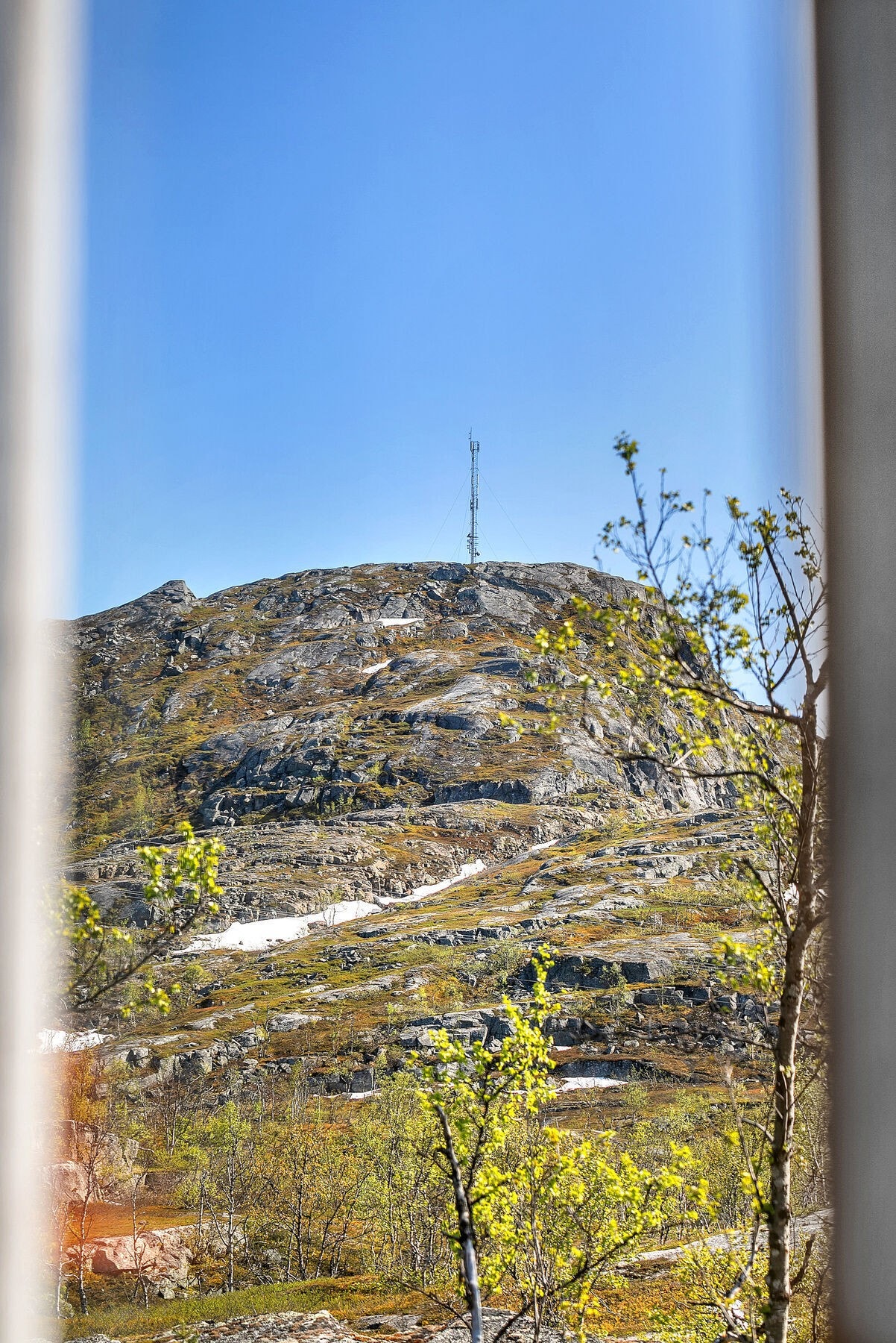 Stue Utsikt Galleribilde