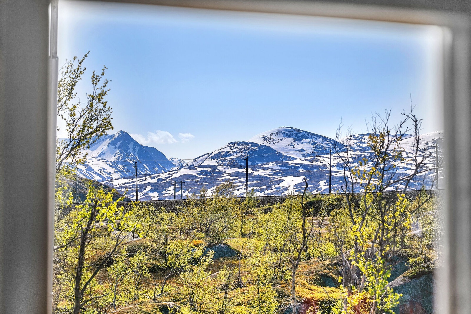 Stue Utsikt Galleribilde