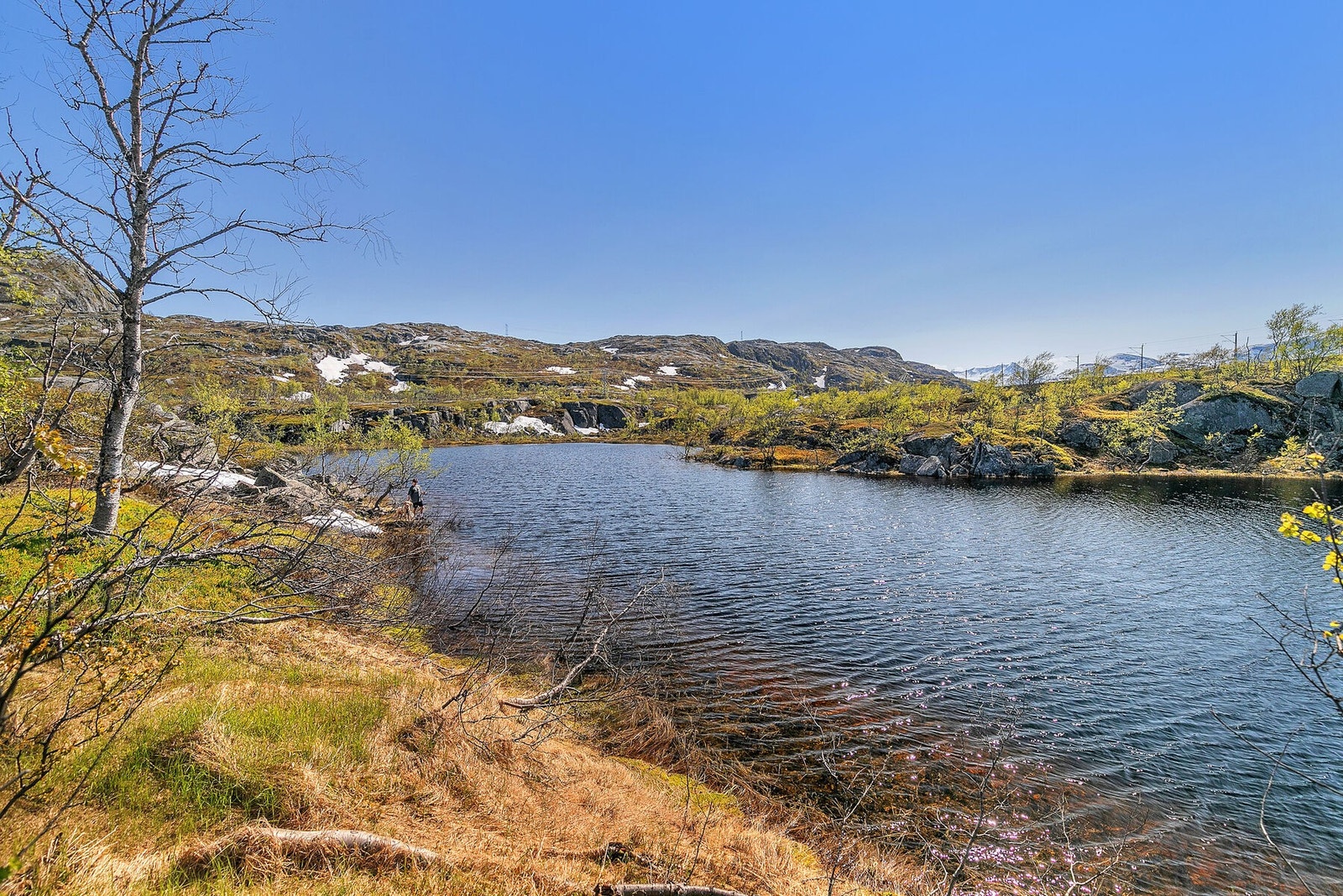 Ørretvann rett ved hytta Galleribilde