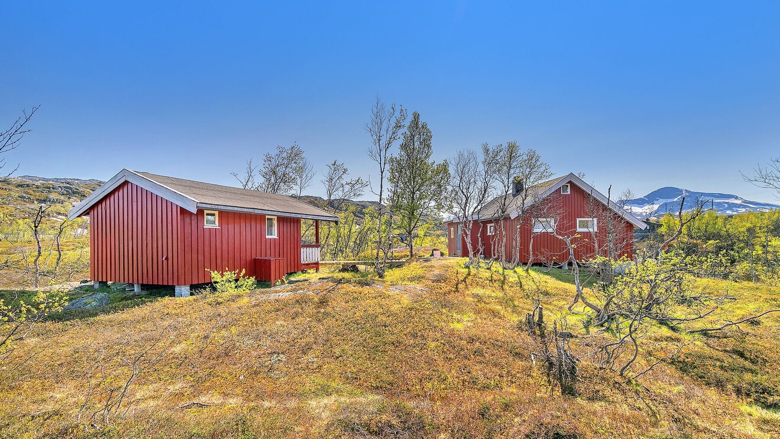 Velkommen til hytta! Galleribilde