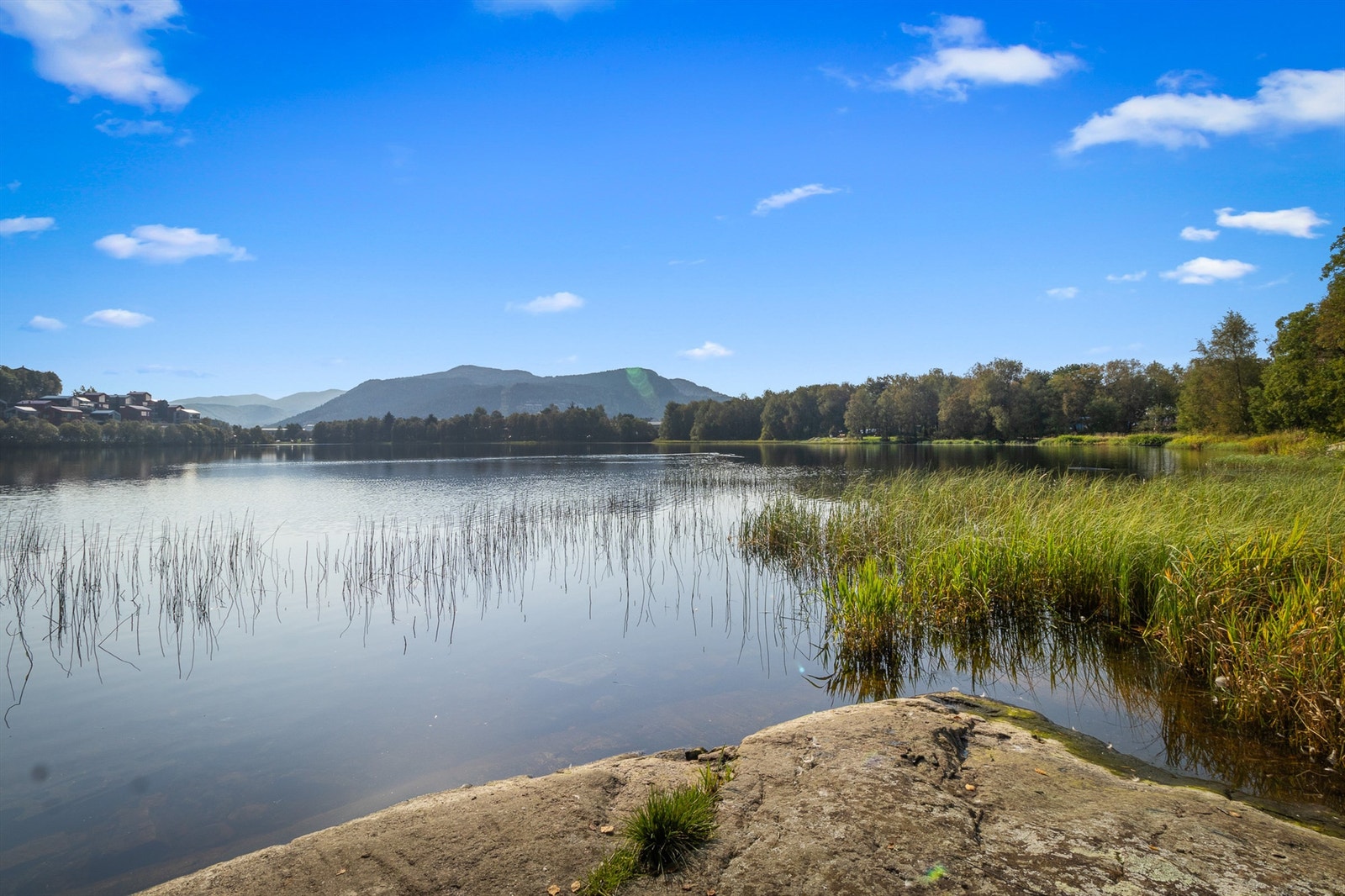Det er mange fine turmuligheter i området. Dette er fra Liavannet på Nyborg med populær turløype rundt vannet. Galleribilde