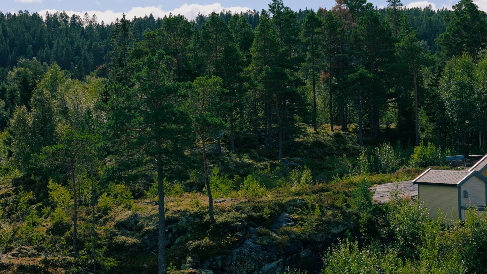 Denne tomten gir deg sjansen til å bygge en bolig skreddersydd for dine behov. Galleribilde
