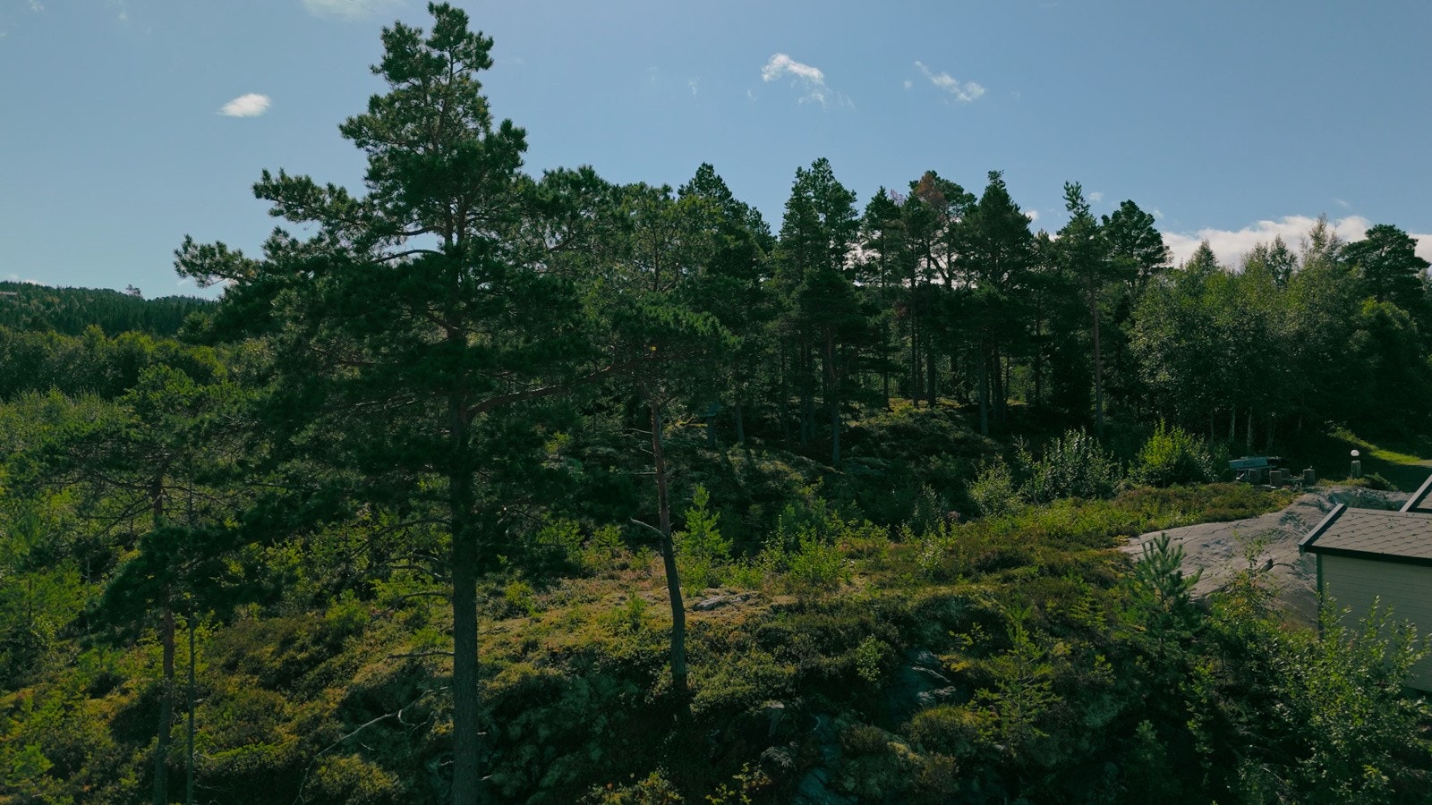 Frosta er kjent som "Trondheims kjøkkenhage" på grunn av sitt rike jordbruk og mange gårdsutsalg. Galleribilde