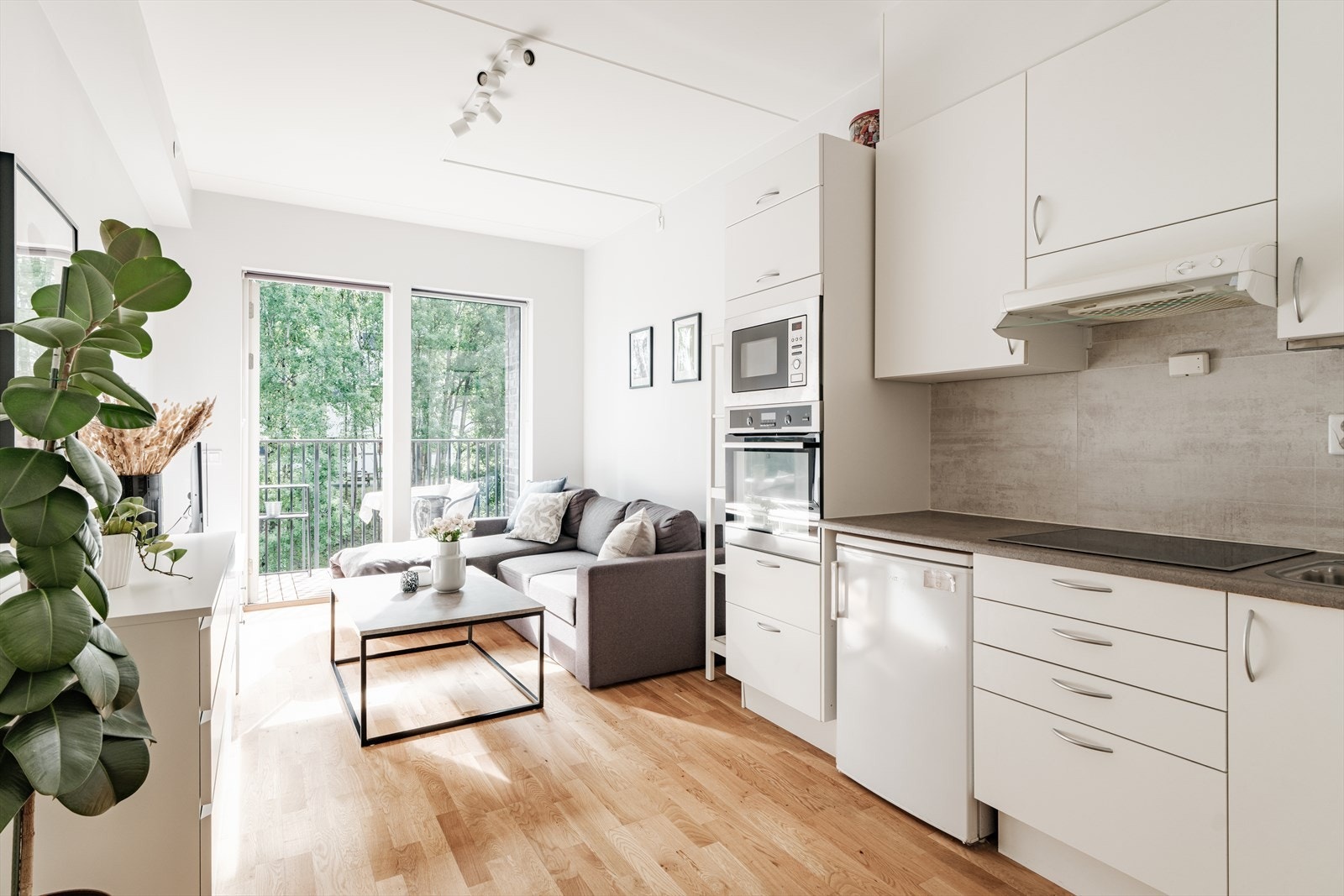 Hybel: Åpen kjøkken- og stueløsning med store vindusflater. Galleribilde