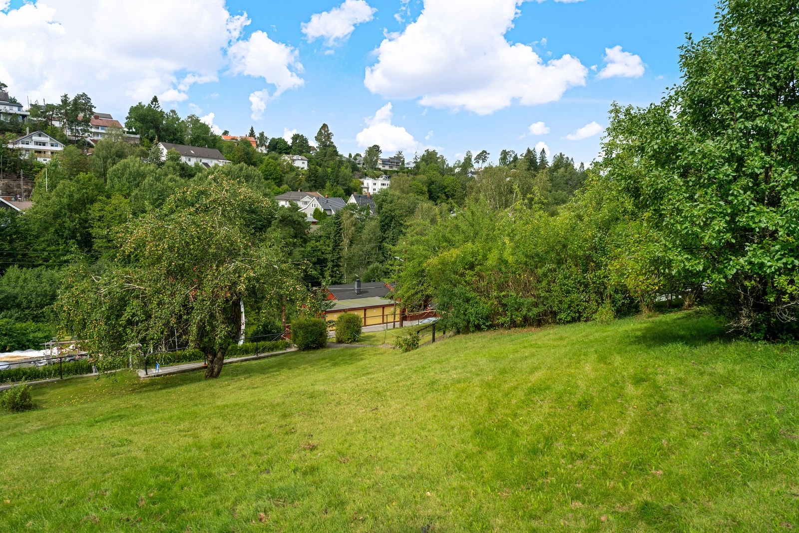 Stor, frodig hage. Galleribilde