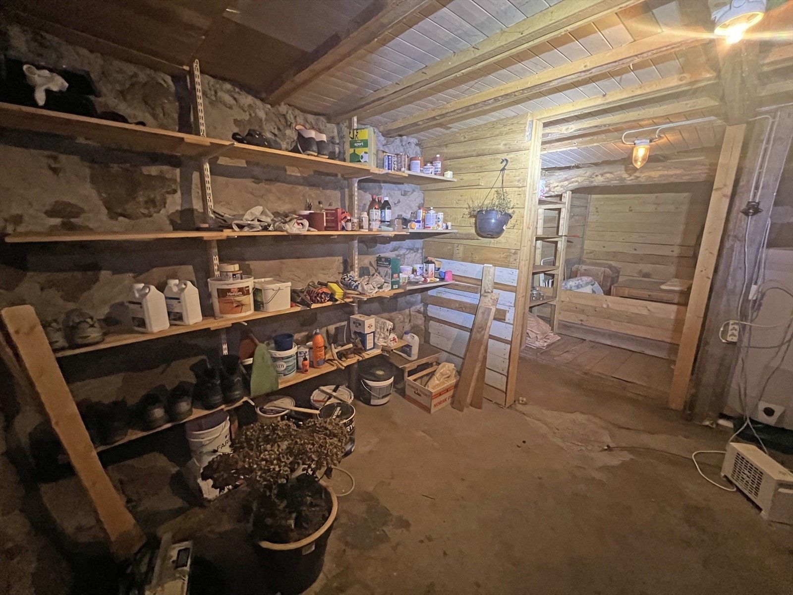 Kjellar. Galleribilde