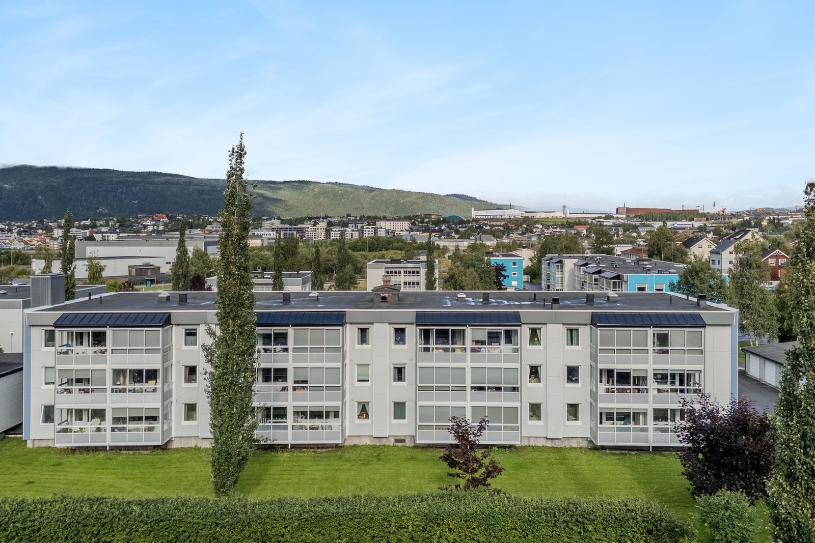 Sees på visning! Galleribilde