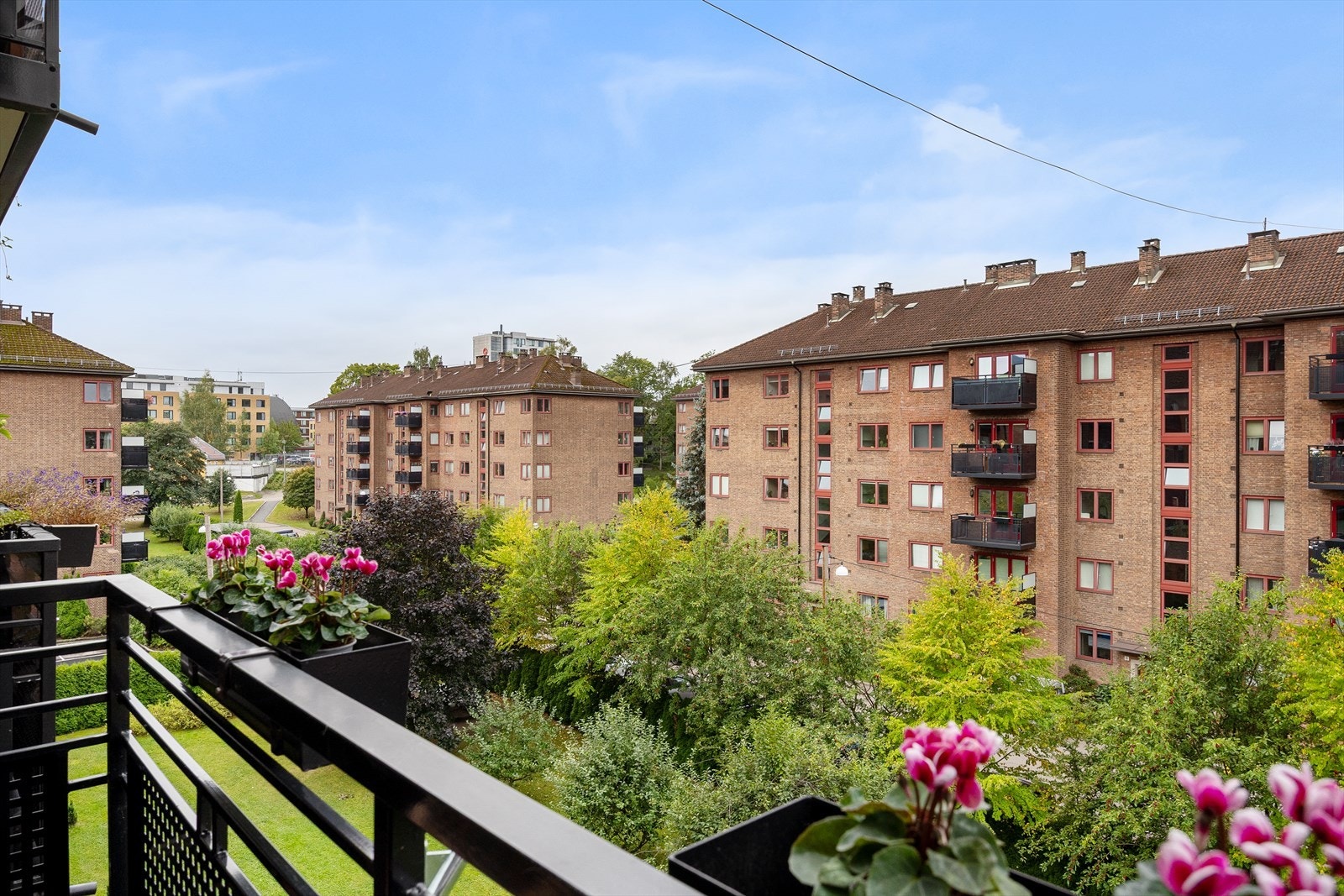 Utsyn fra balkongen. Galleribilde