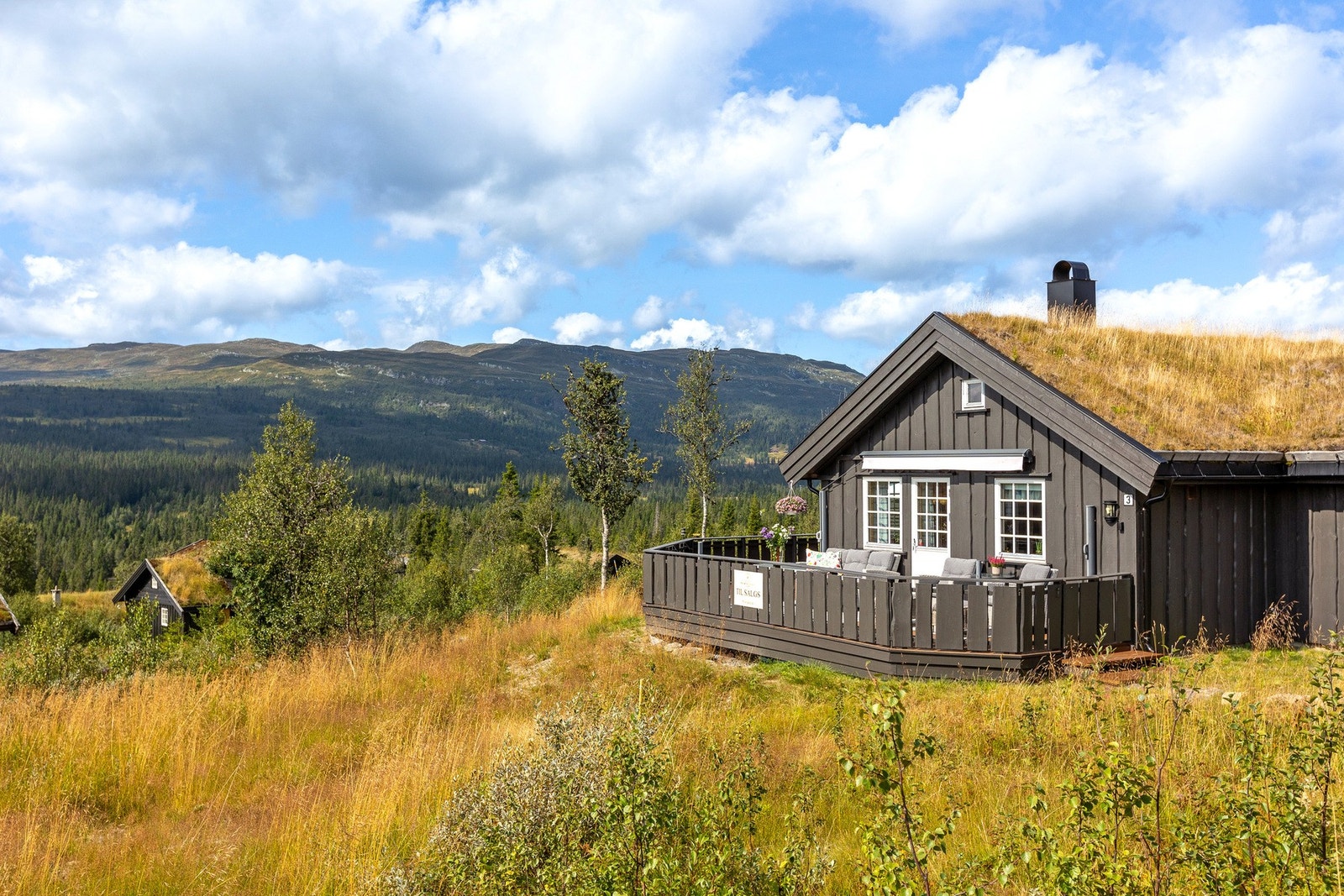 Hytta ligger på en solrik og romslig tomt på 1 208 m² Galleribilde