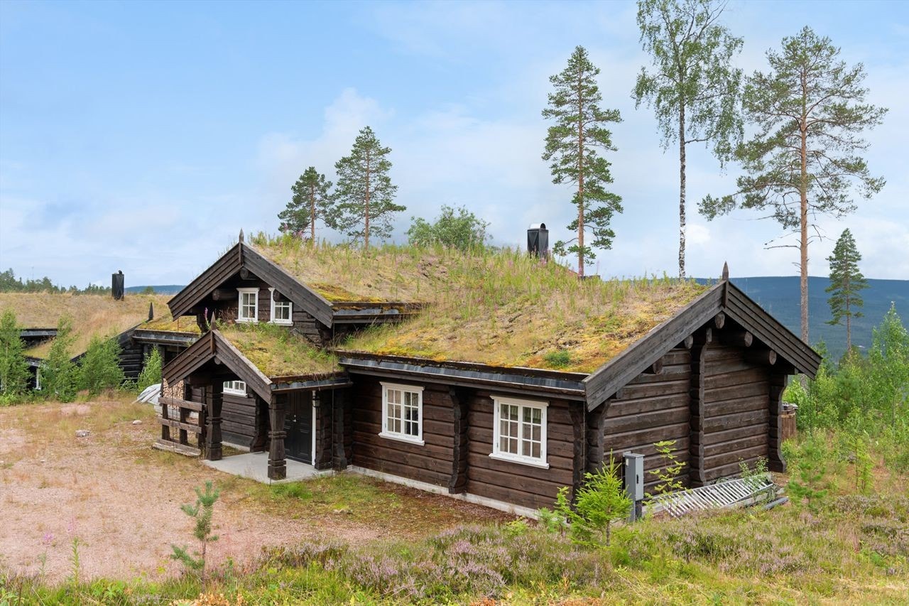 Velkommen til Fulufjellet hytteområde 97! Galleribilde