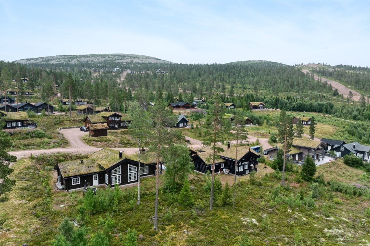 Området Galleribilde