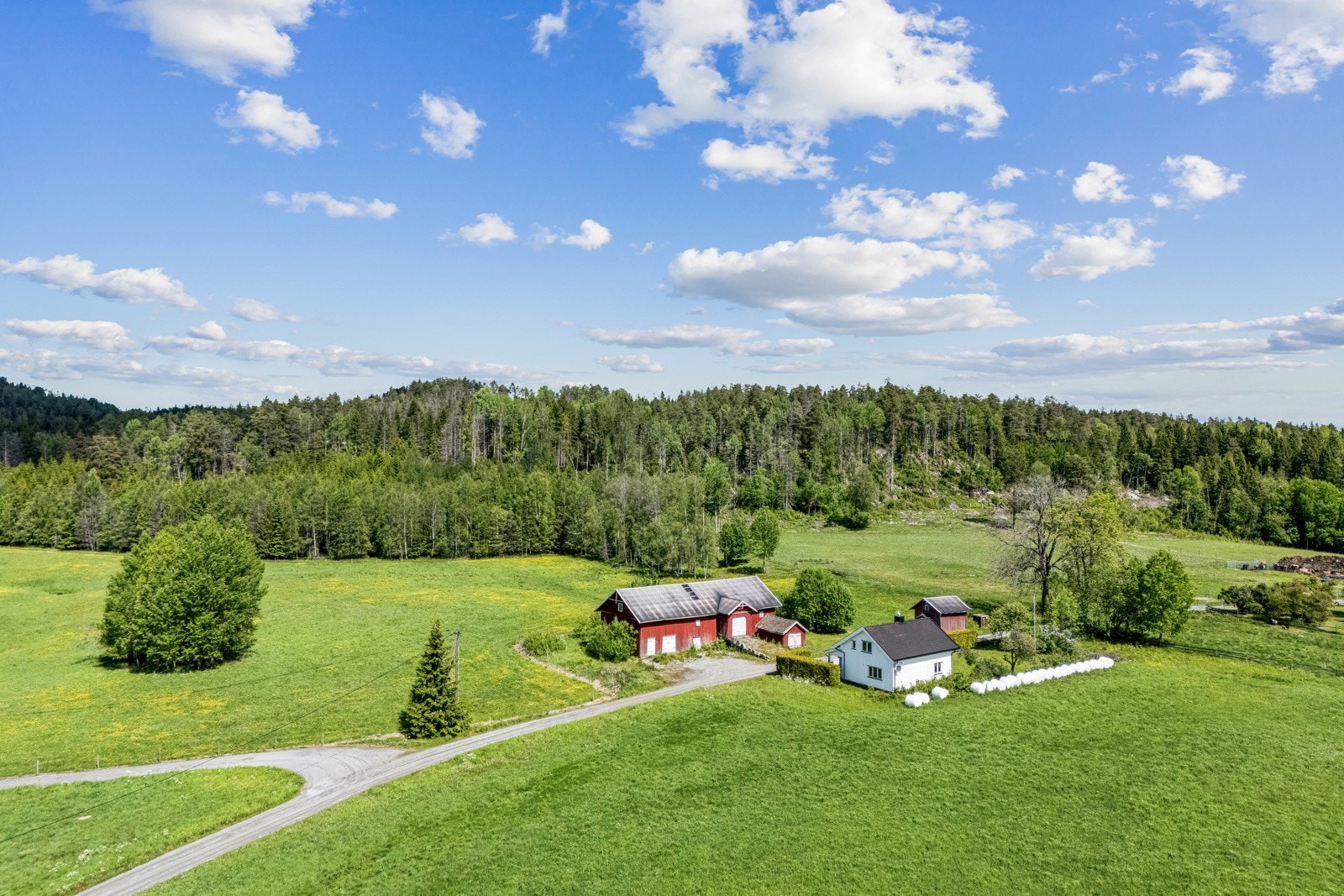 Skogen er fordelt på to teiger og jorda består av tre skifter, alle lettdrevet og lett tilgjengelig. Galleribilde