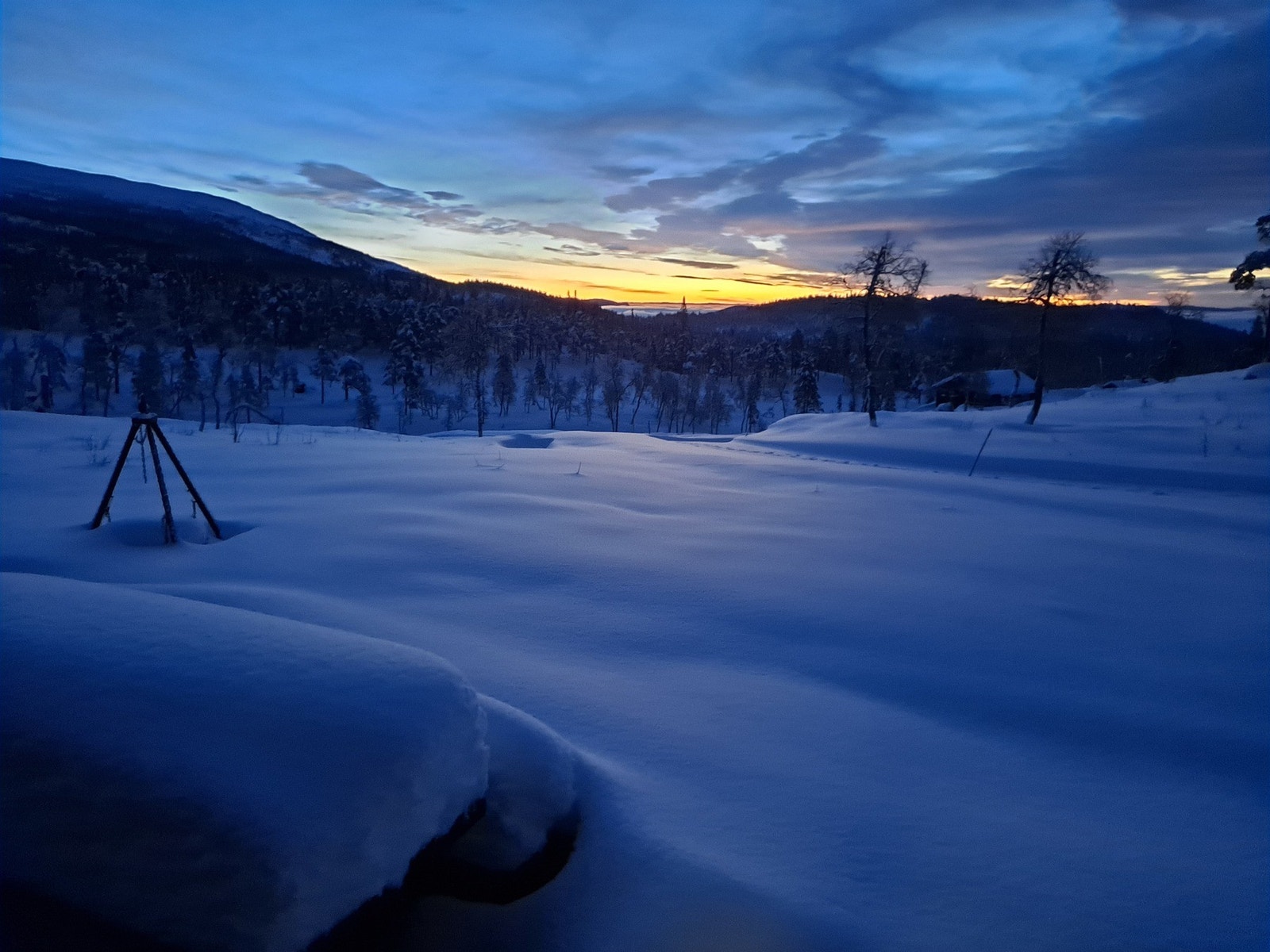 Selgers bilde. Galleribilde