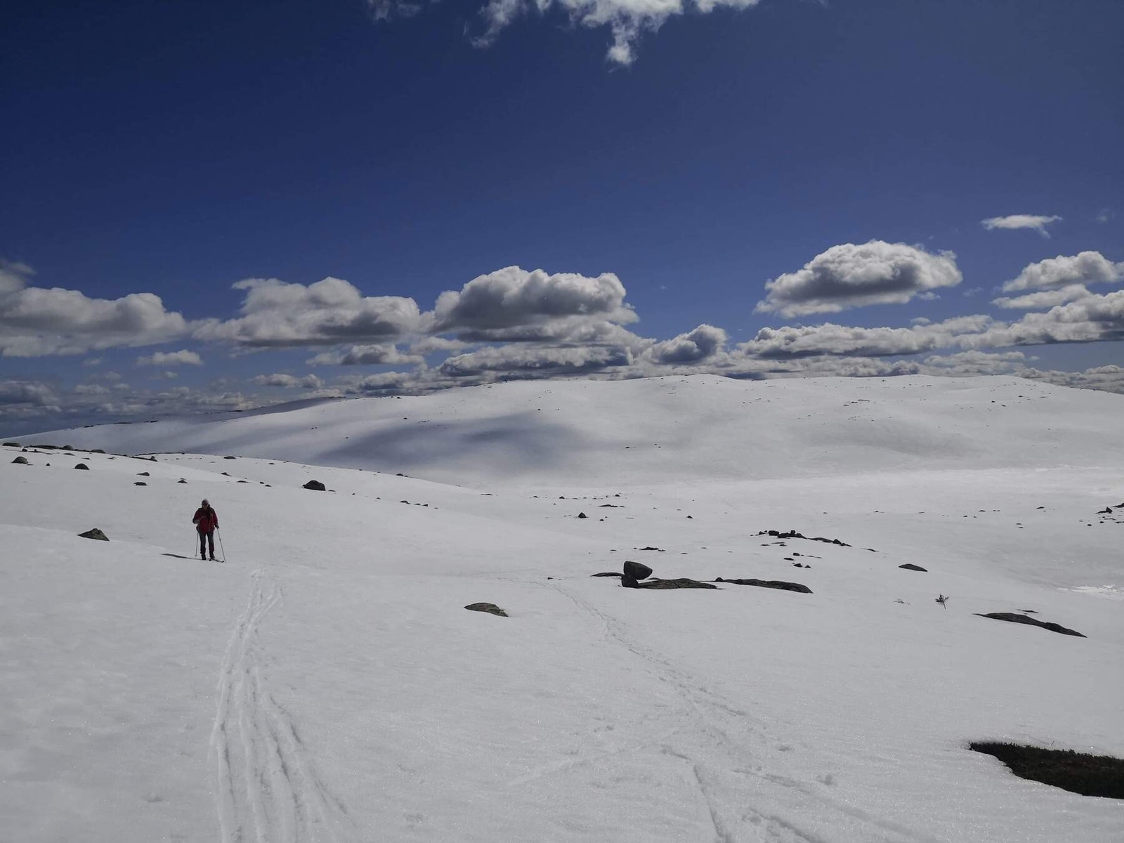 Selgers bilde. Galleribilde