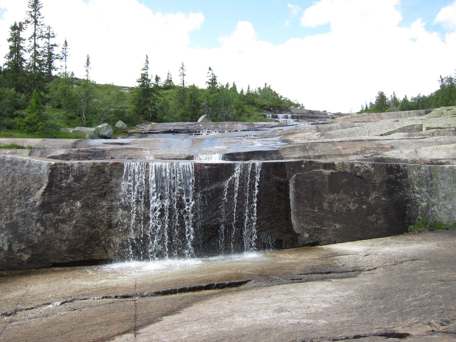 Selgers bilde. Galleribilde