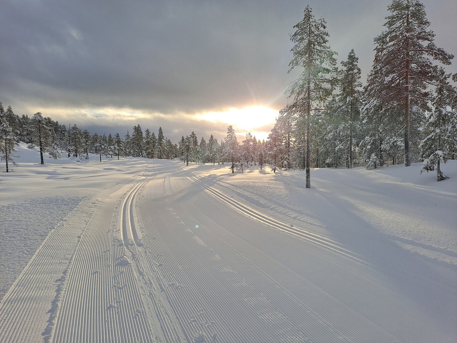 Selgers bilde. Galleribilde