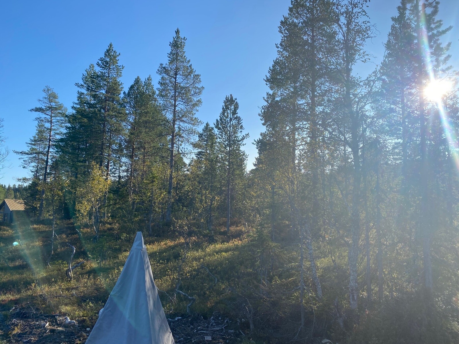 Fin solnedgang fra hytta. Galleribilde