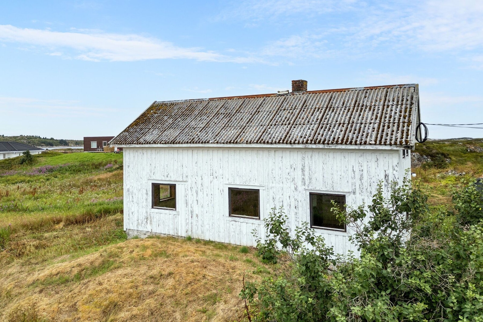 Romslig naturtomt på 17637,4 kvm. Galleribilde