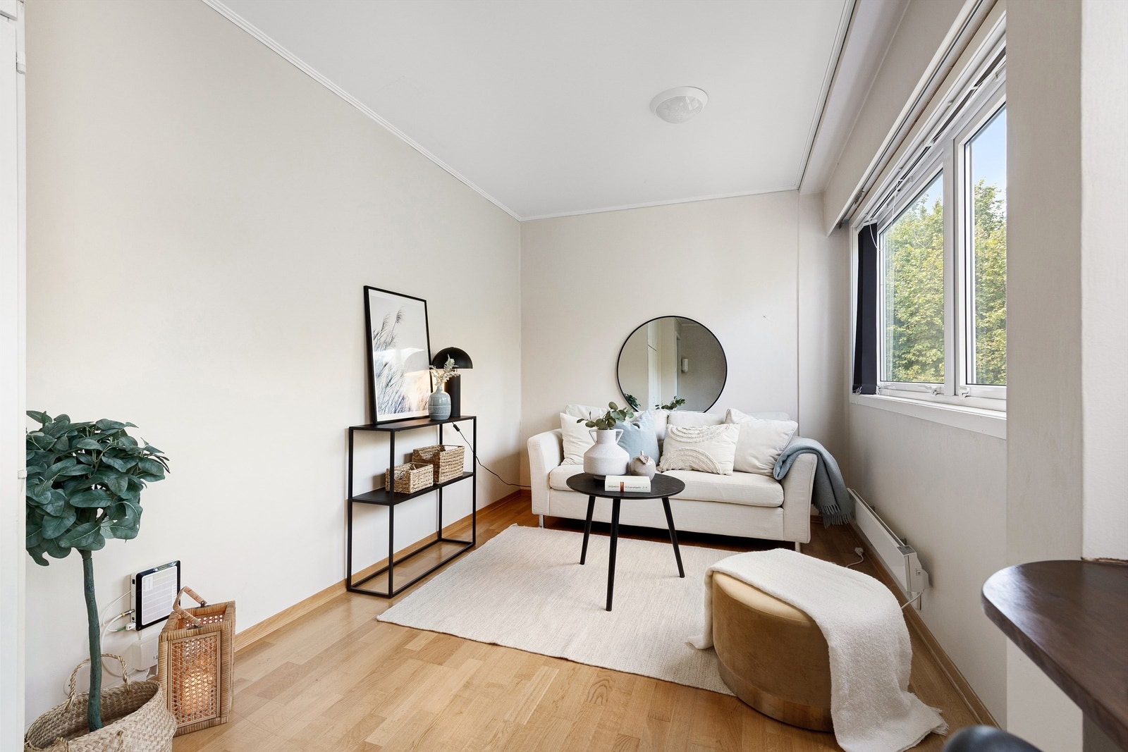 Stue/kjøkken og soverom i ett Galleribilde