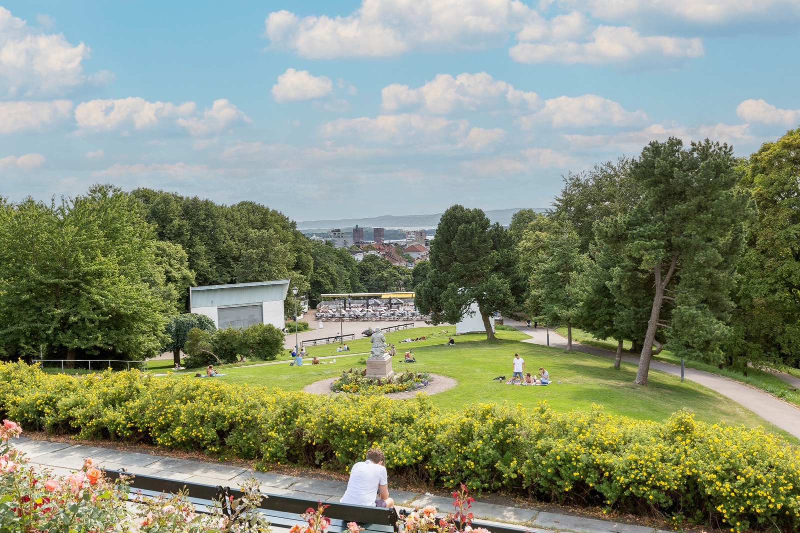 Områdebilde. Galleribilde