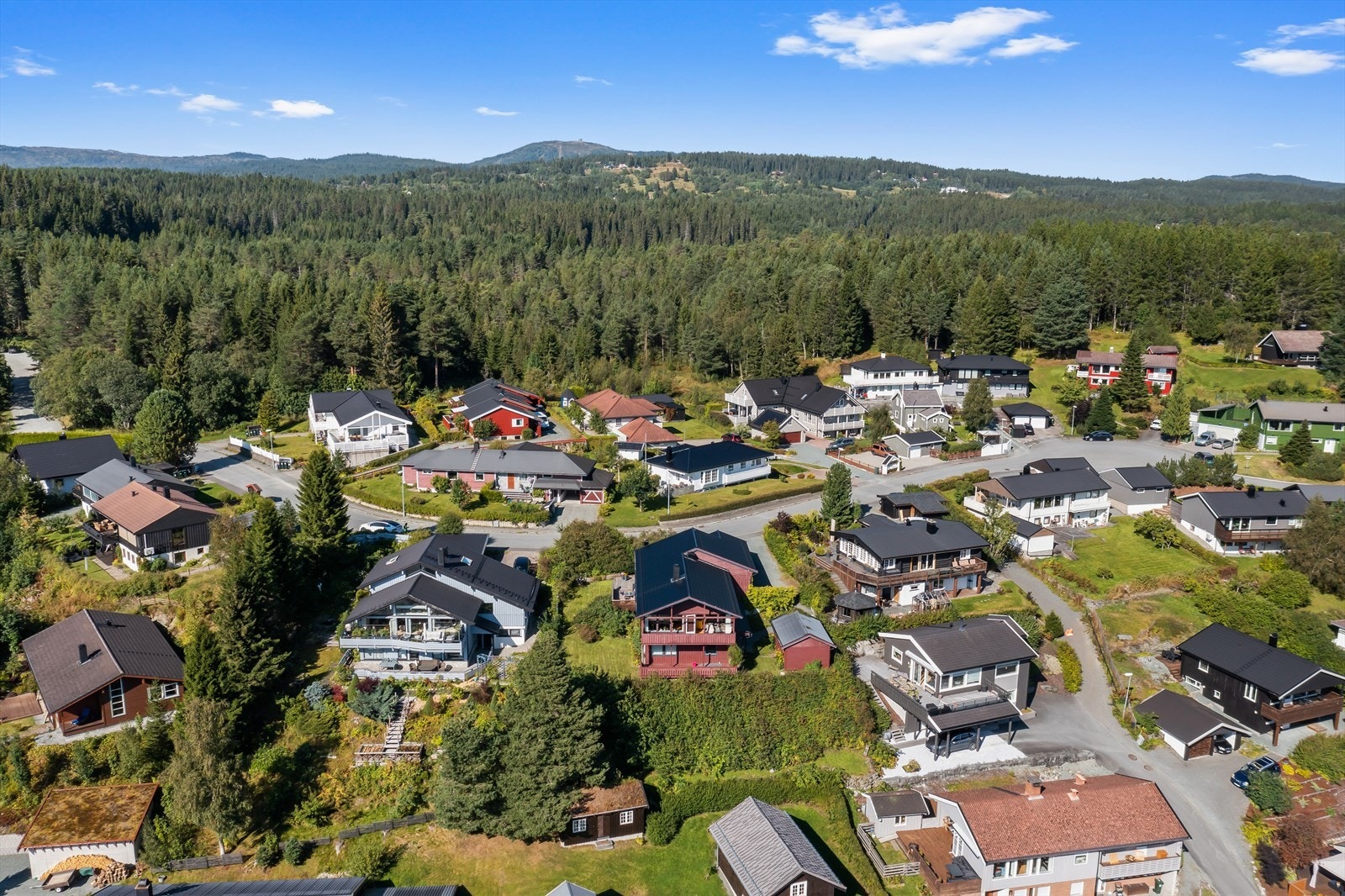 Velkommen til visning! Galleribilde