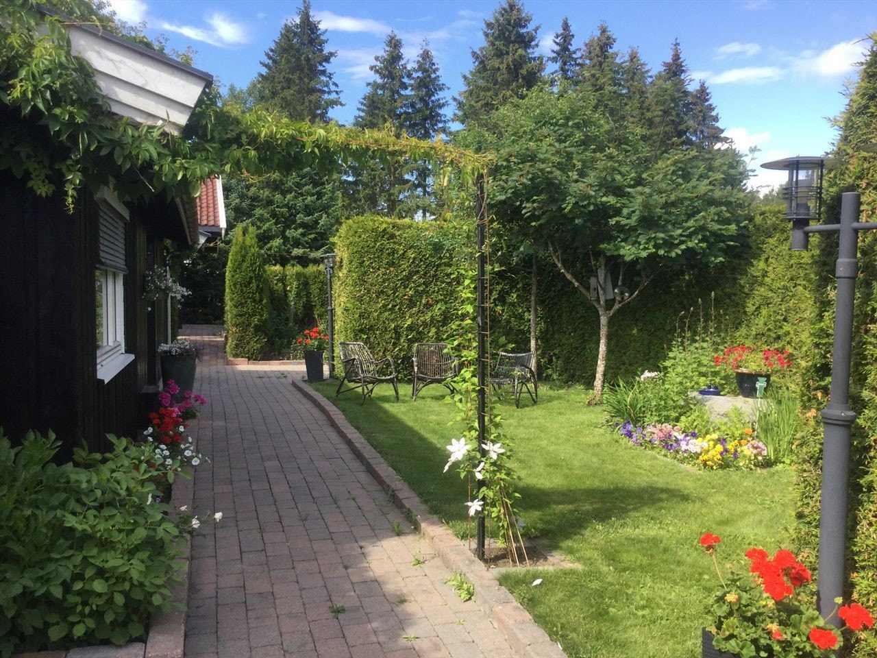 Frodig hage - selgers eget bilde Galleribilde