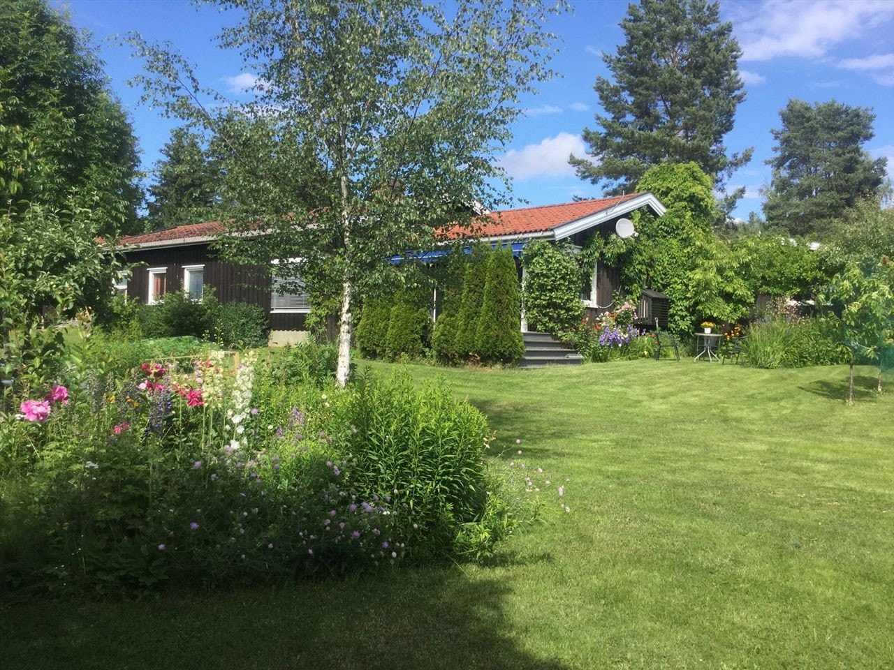 Pent opparbeidet hage - selgers eget bilde Galleribilde