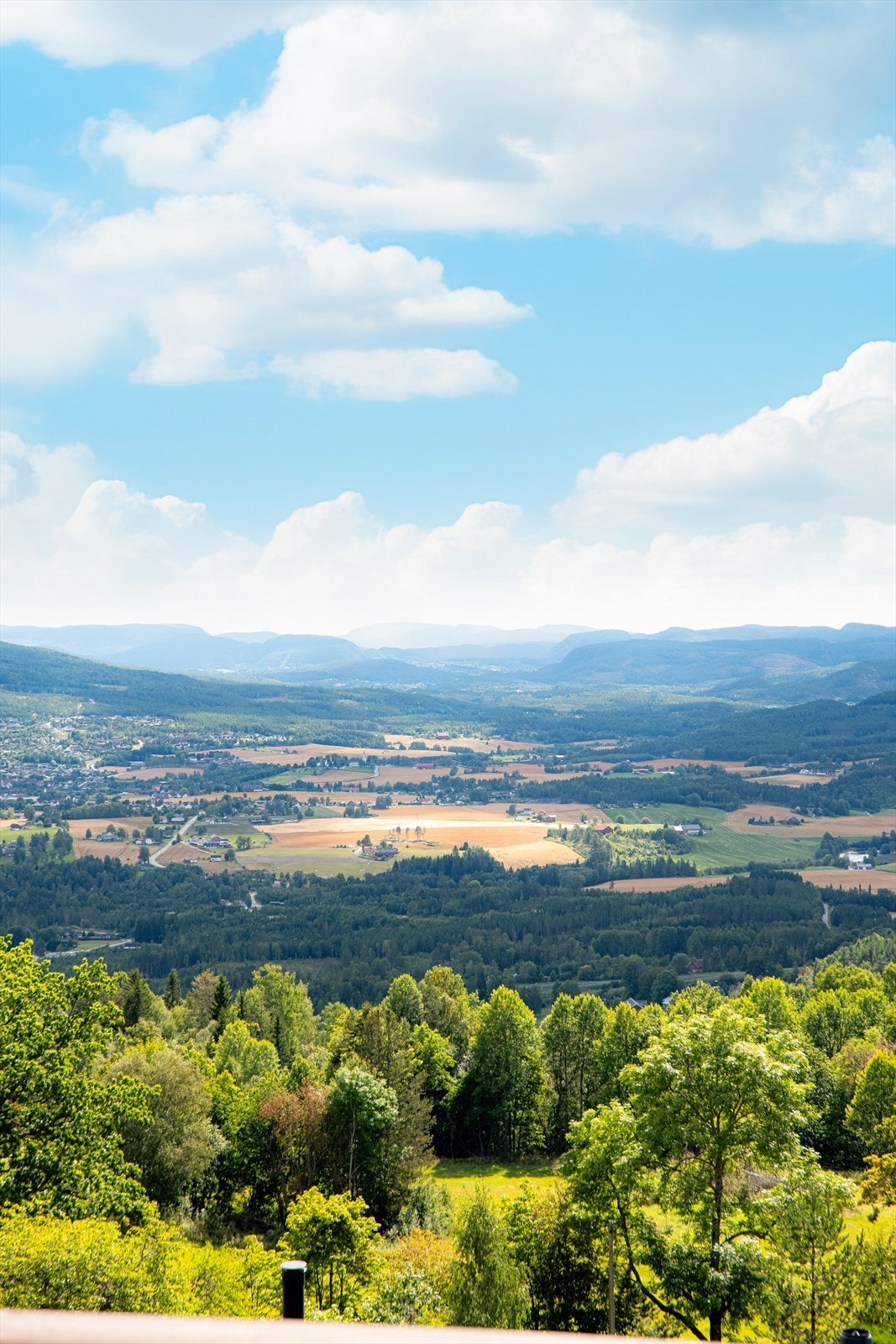 Kanskje Lifjell's beste utsikt? Galleribilde