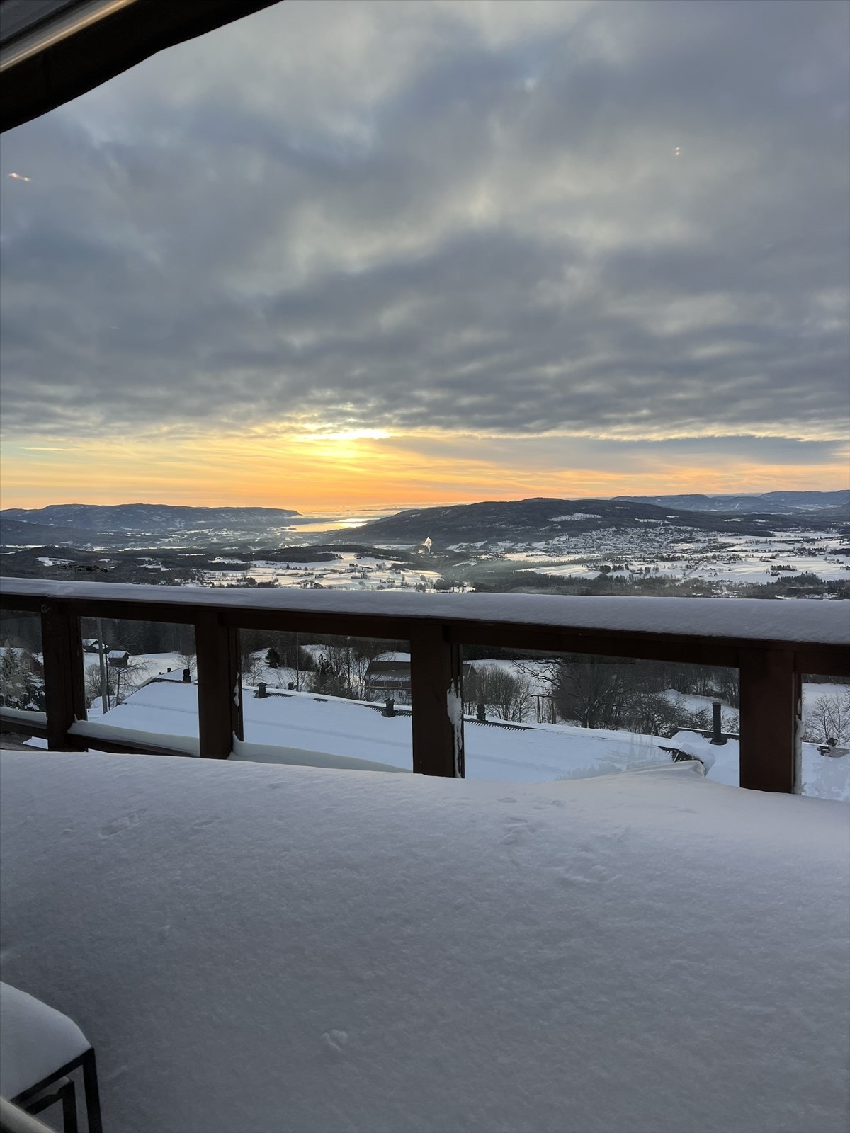 Selgers private bilder Galleribilde