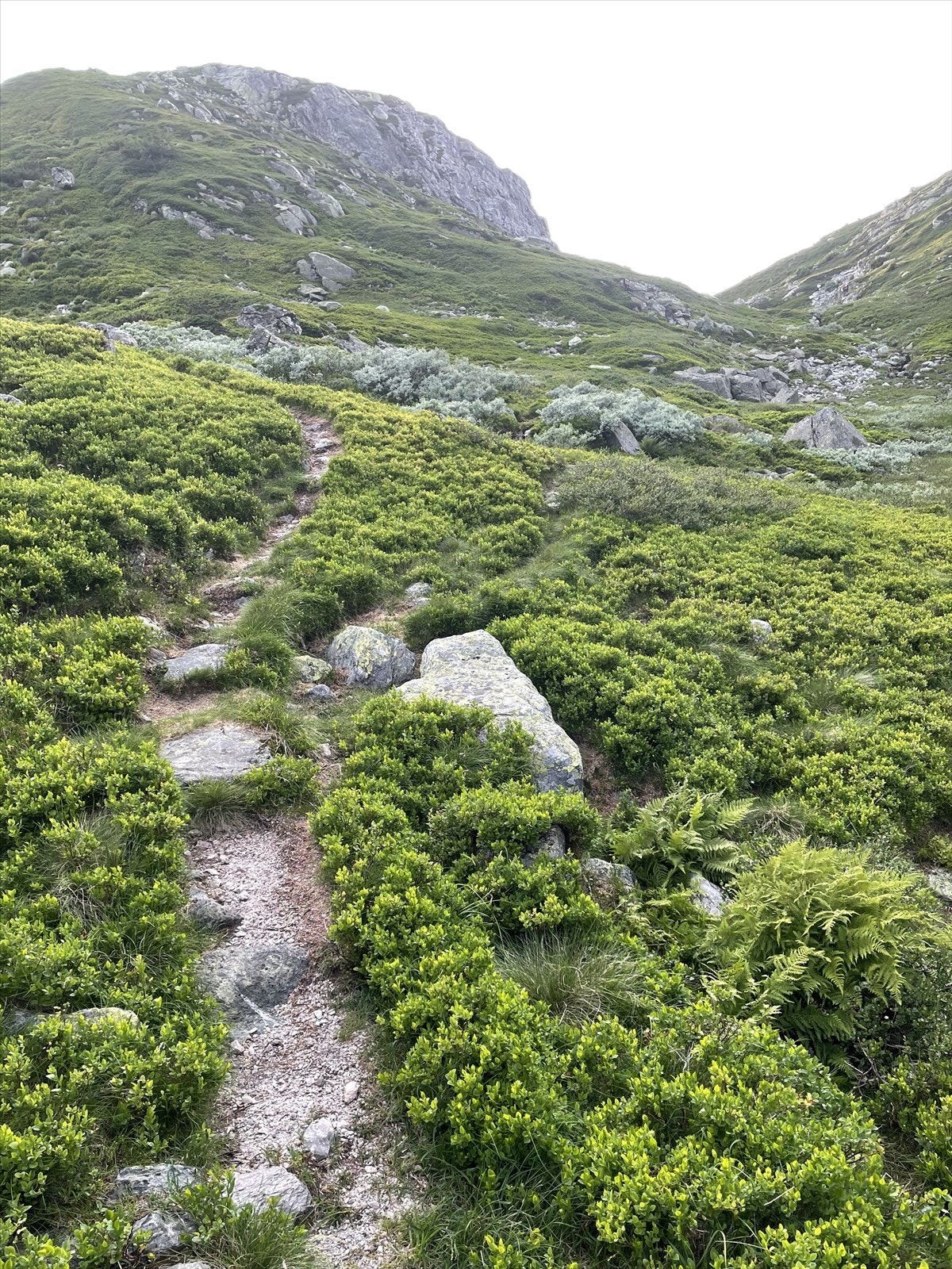 Selgers private bilder Galleribilde