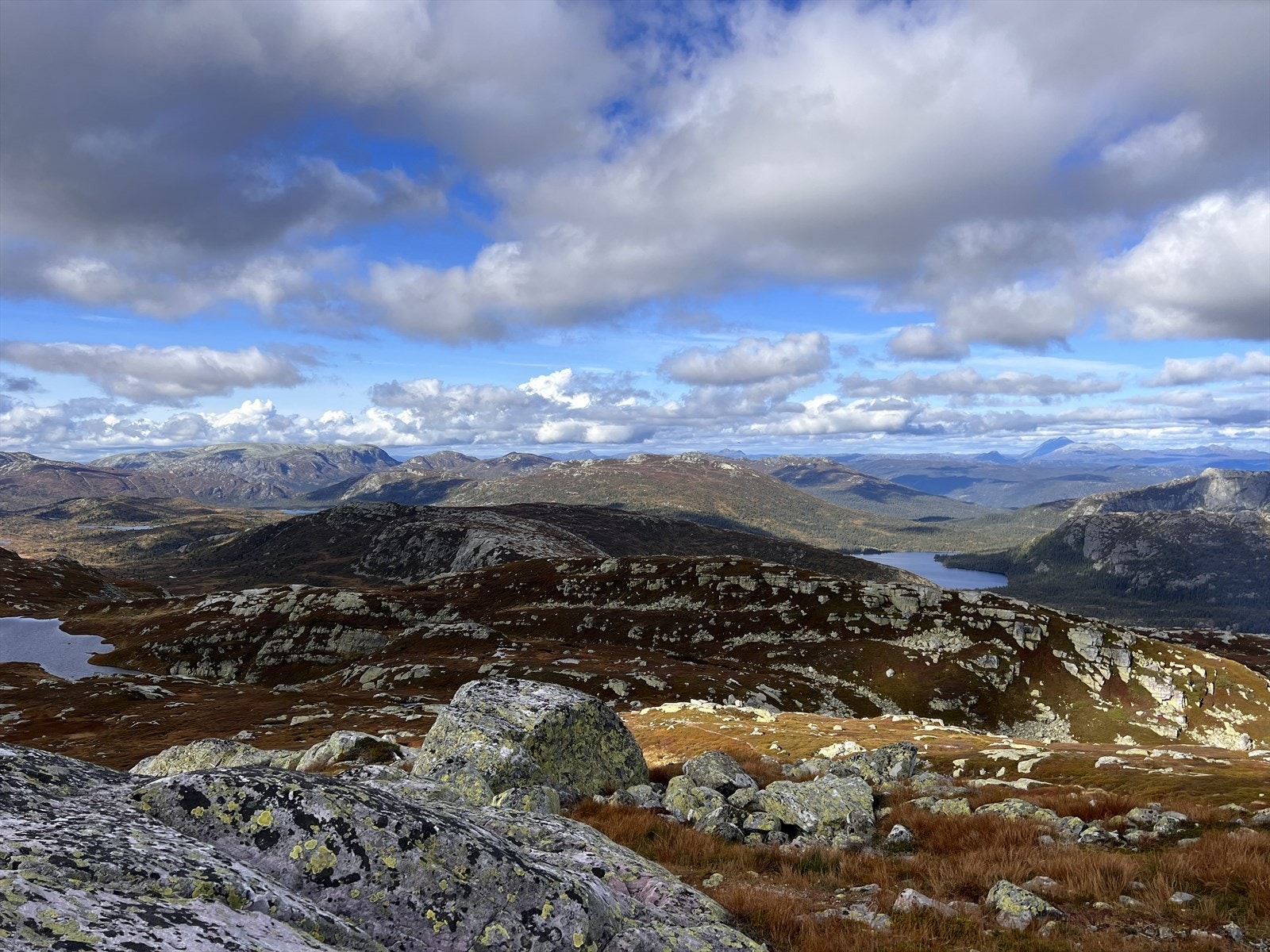 Selgers private bilder Galleribilde