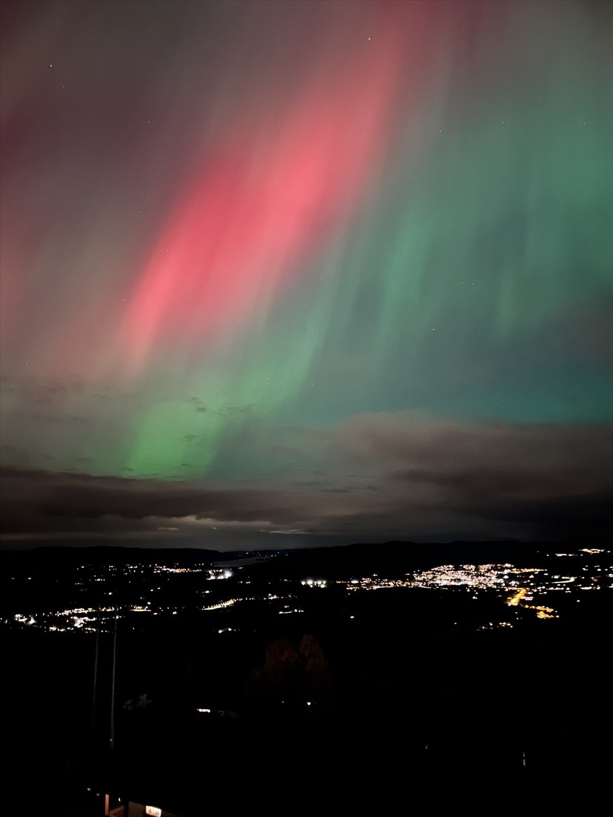 Selgers private bilder Galleribilde