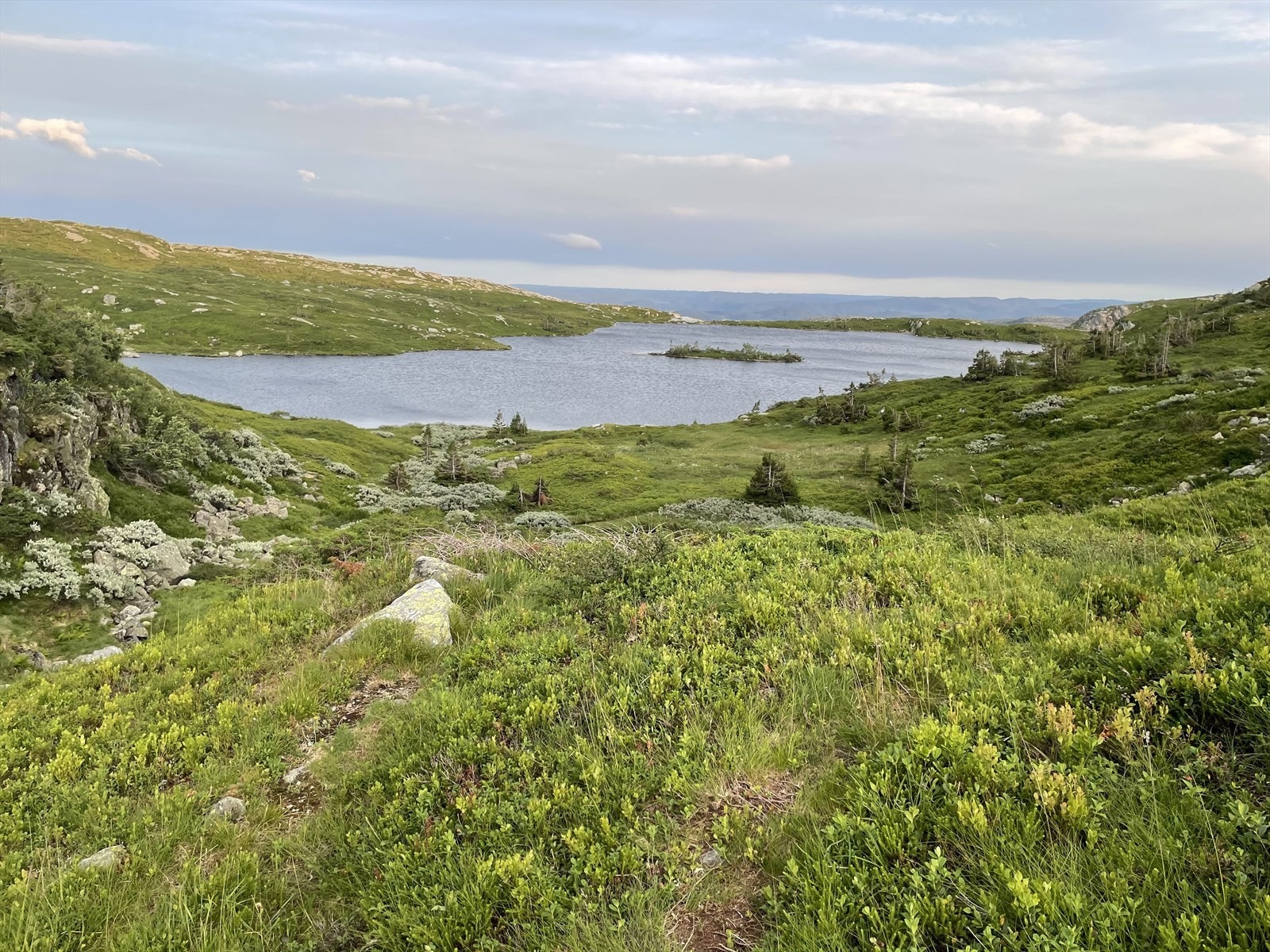 Selgers private bilder Galleribilde