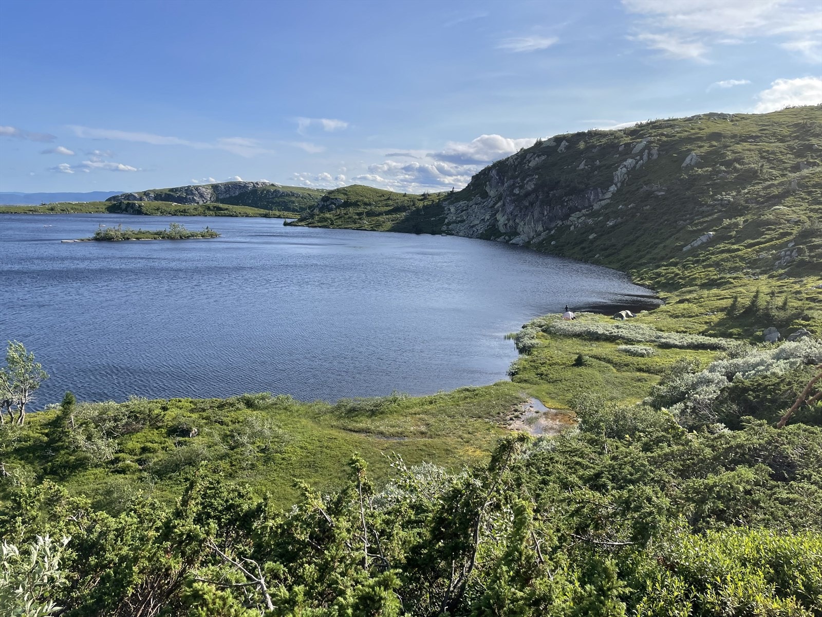 Selgers private bilder Galleribilde