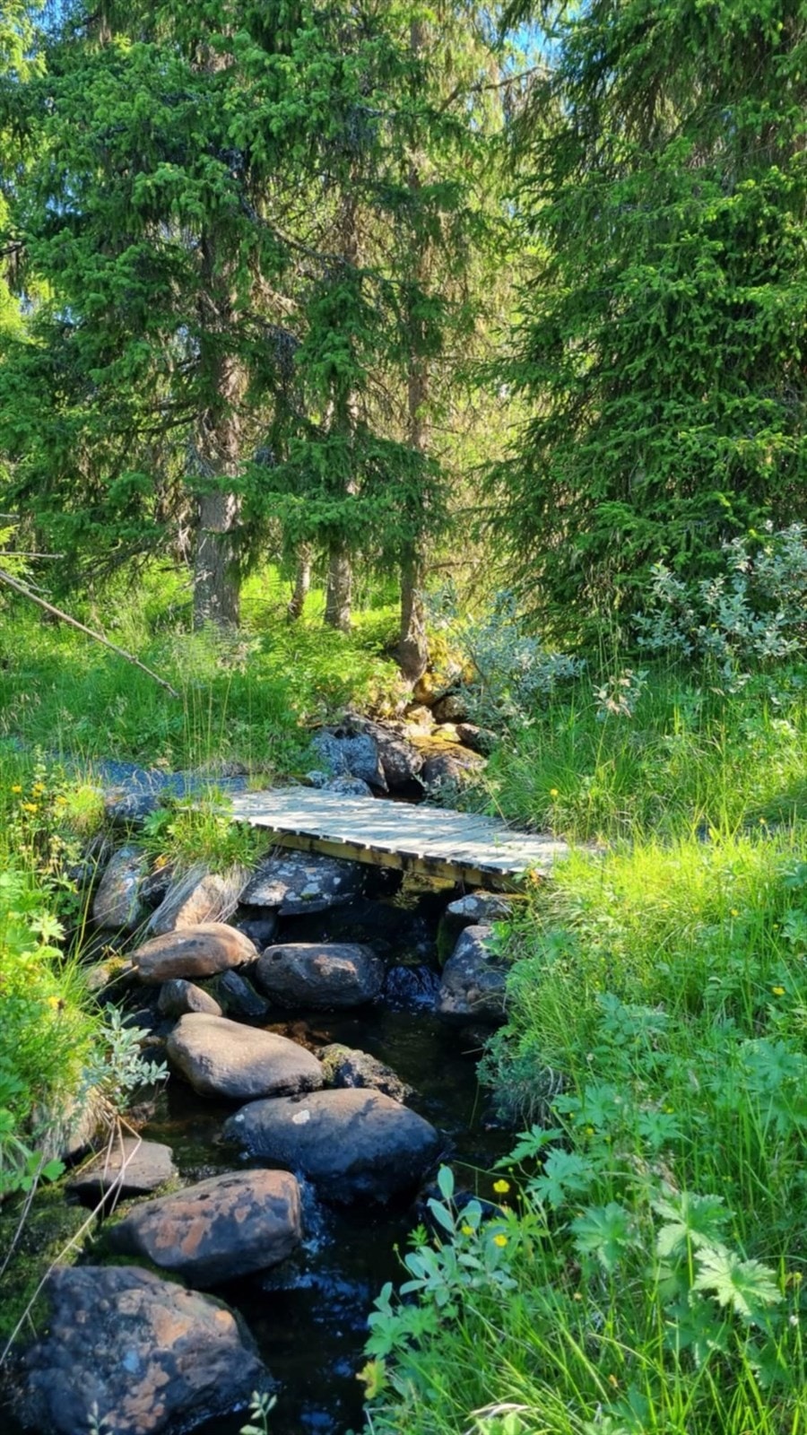Selger trekker frem det fredelige turområdet som en stor kvalitet. Her har du en usjenert tomt, uten direkte naboer, hvor bekken i tomtegrensen setter prikken over i´en. (Selgers foto) Galleribilde