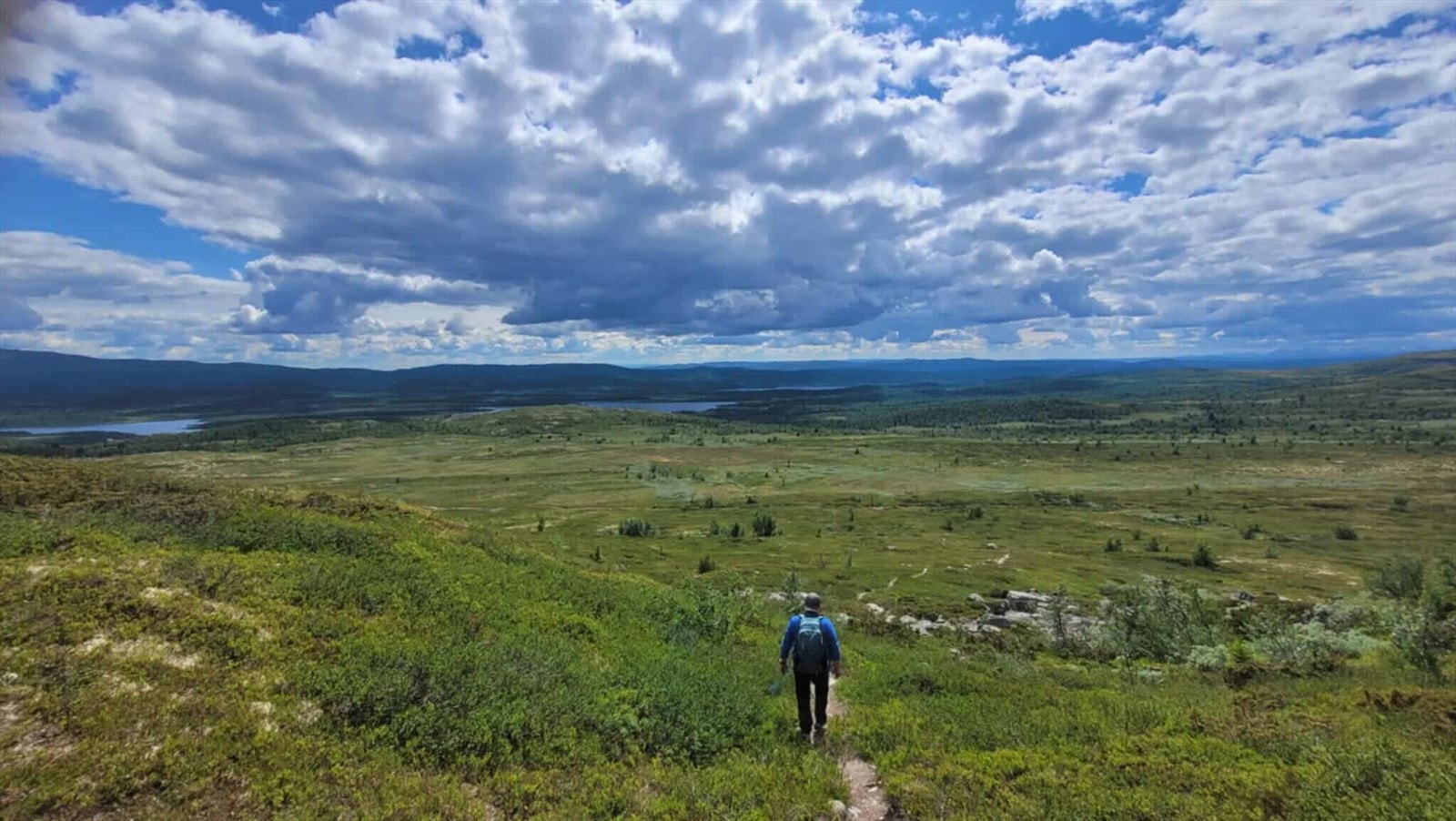 Her fra turområdet Rødsjøkollen. (Selgers foto) Galleribilde