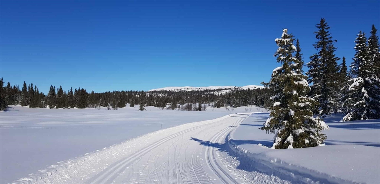 Om vinteren finner en milevis med skiløyper i nærområdet. (Selgers foto) Galleribilde