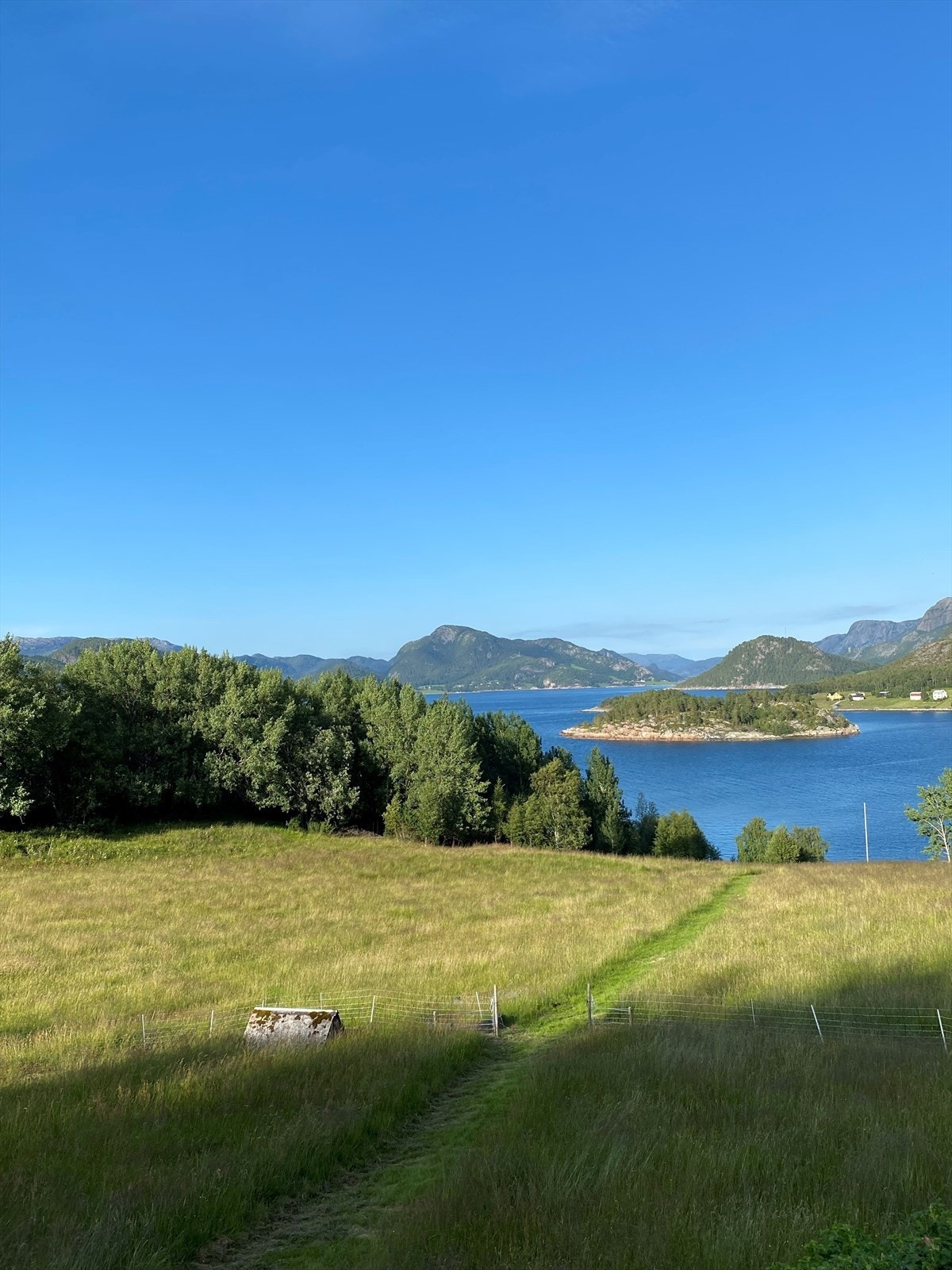 Selgers private bilder Galleribilde