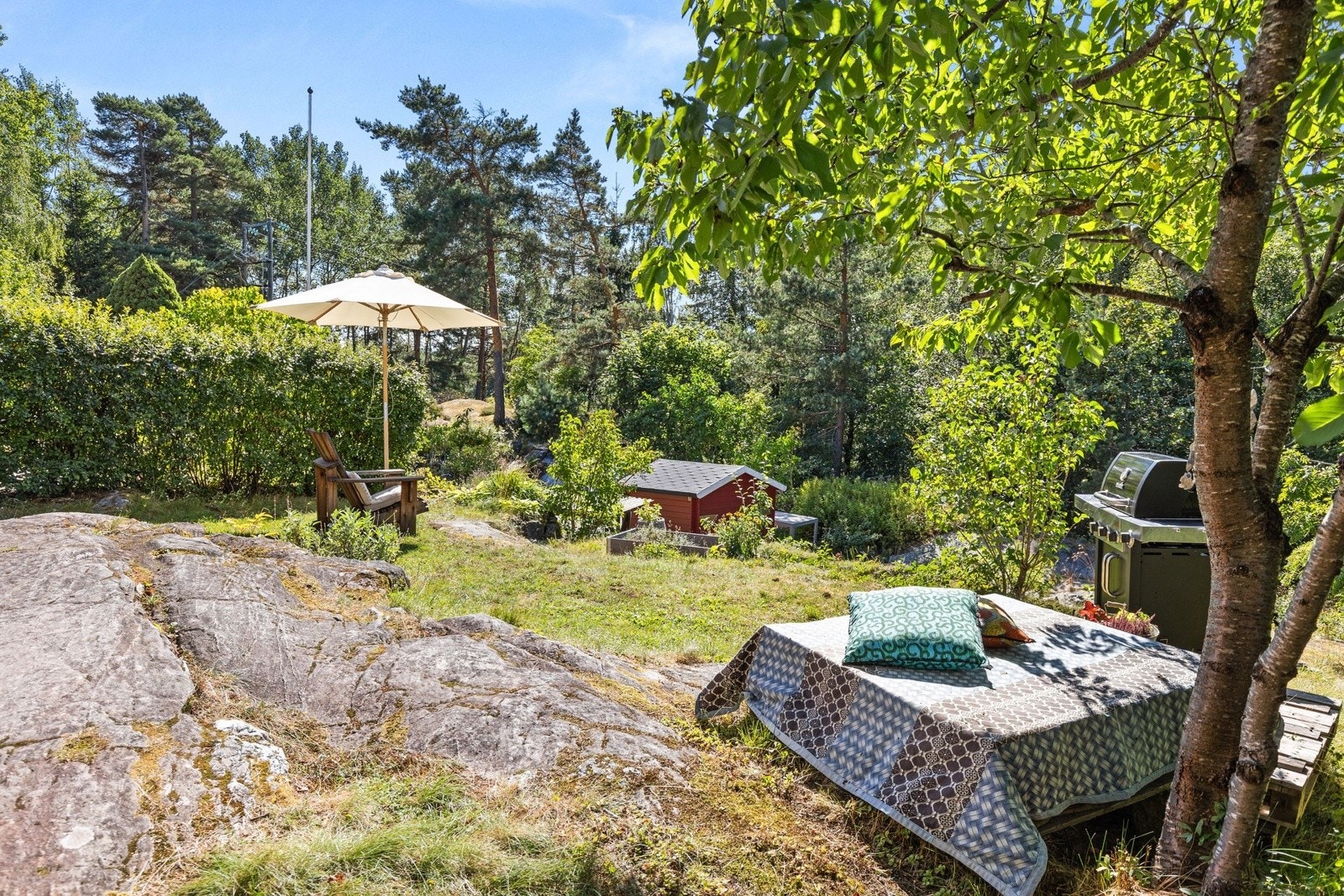 En del av hagen er beholdt som naturtomt med naturlig vegetasjon. Galleribilde