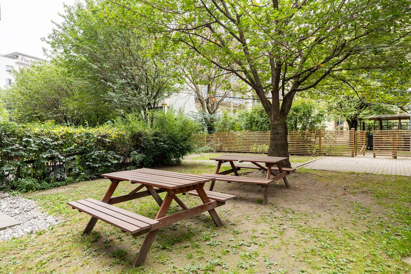 Sosialt med benker der solen er på ettermiddagen. Galleribilde