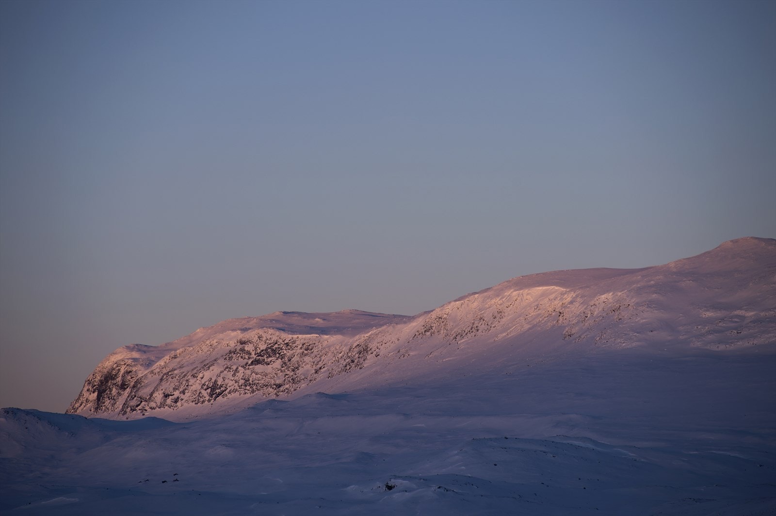 . Foto Terje Bjørnsen Galleribilde