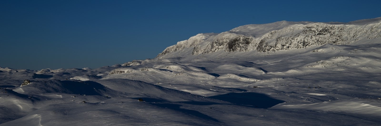 Foto Terje Bjørnsen Galleribilde