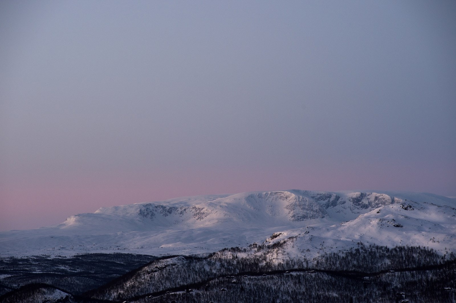 Foto Terje Bjørnsen Galleribilde