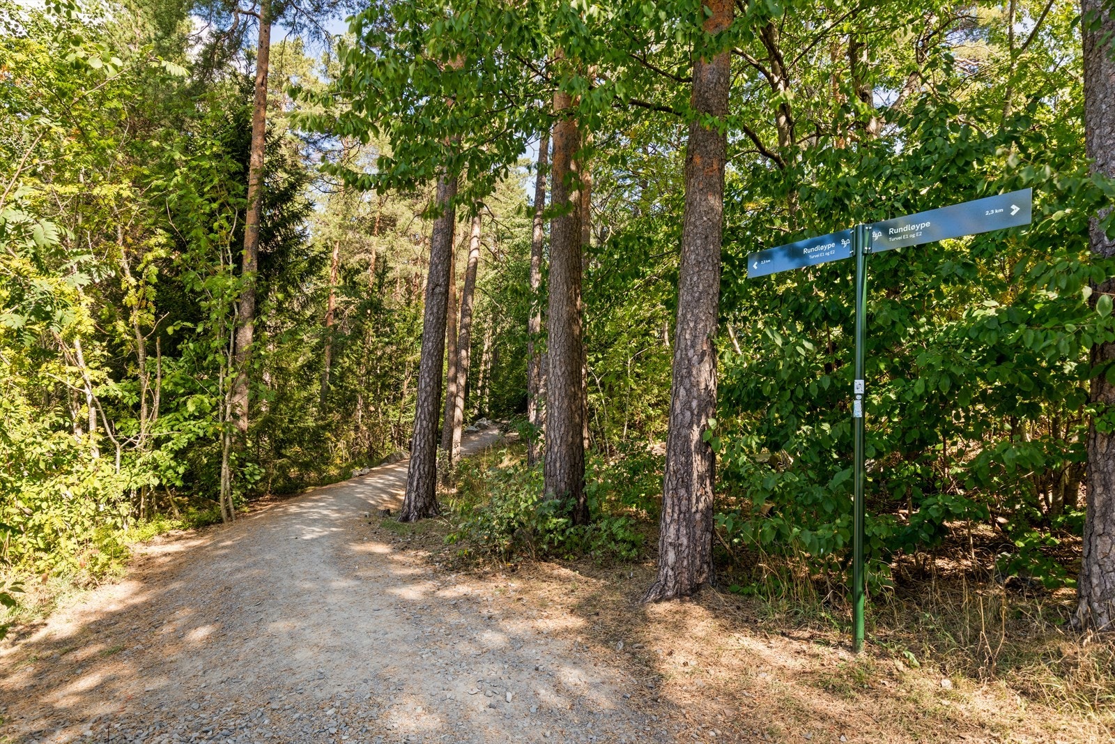 Rundløypen ligger rett nedenfor blokken. Dette er en flott turvei som blant annet tar deg til Østmarka. Galleribilde