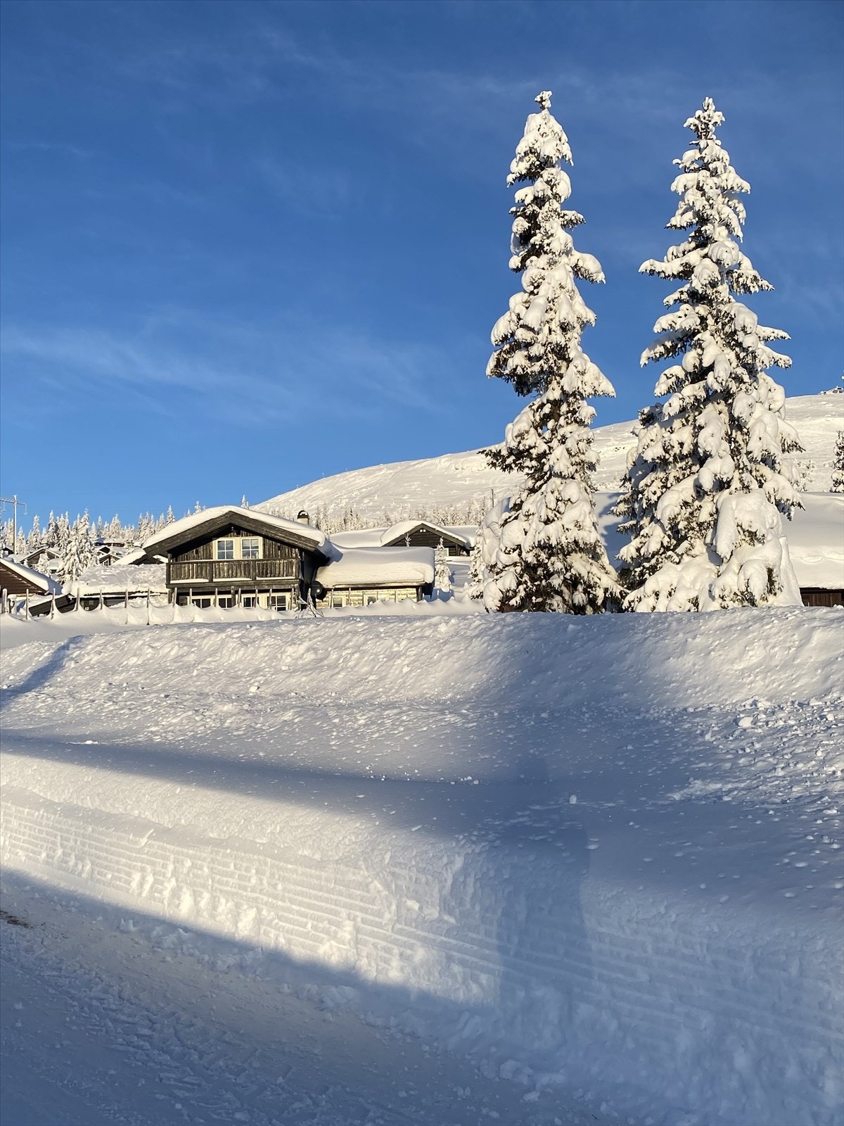 Vinterbilde tatt av selger. Galleribilde